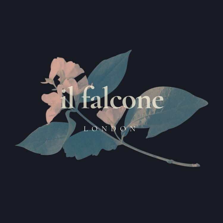 il falcone