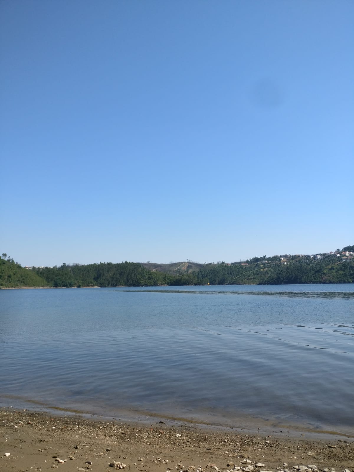 river.jpeg