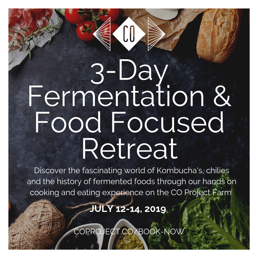 Food and Fermentation Focused Retreat: July 12th-14th, 2019