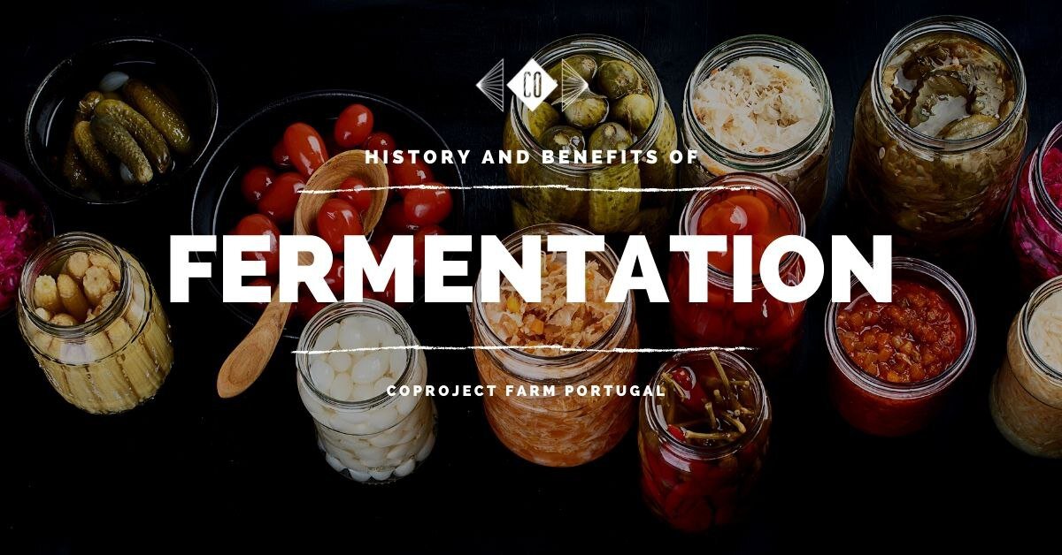Benefits of fermentation — CO Project Farm