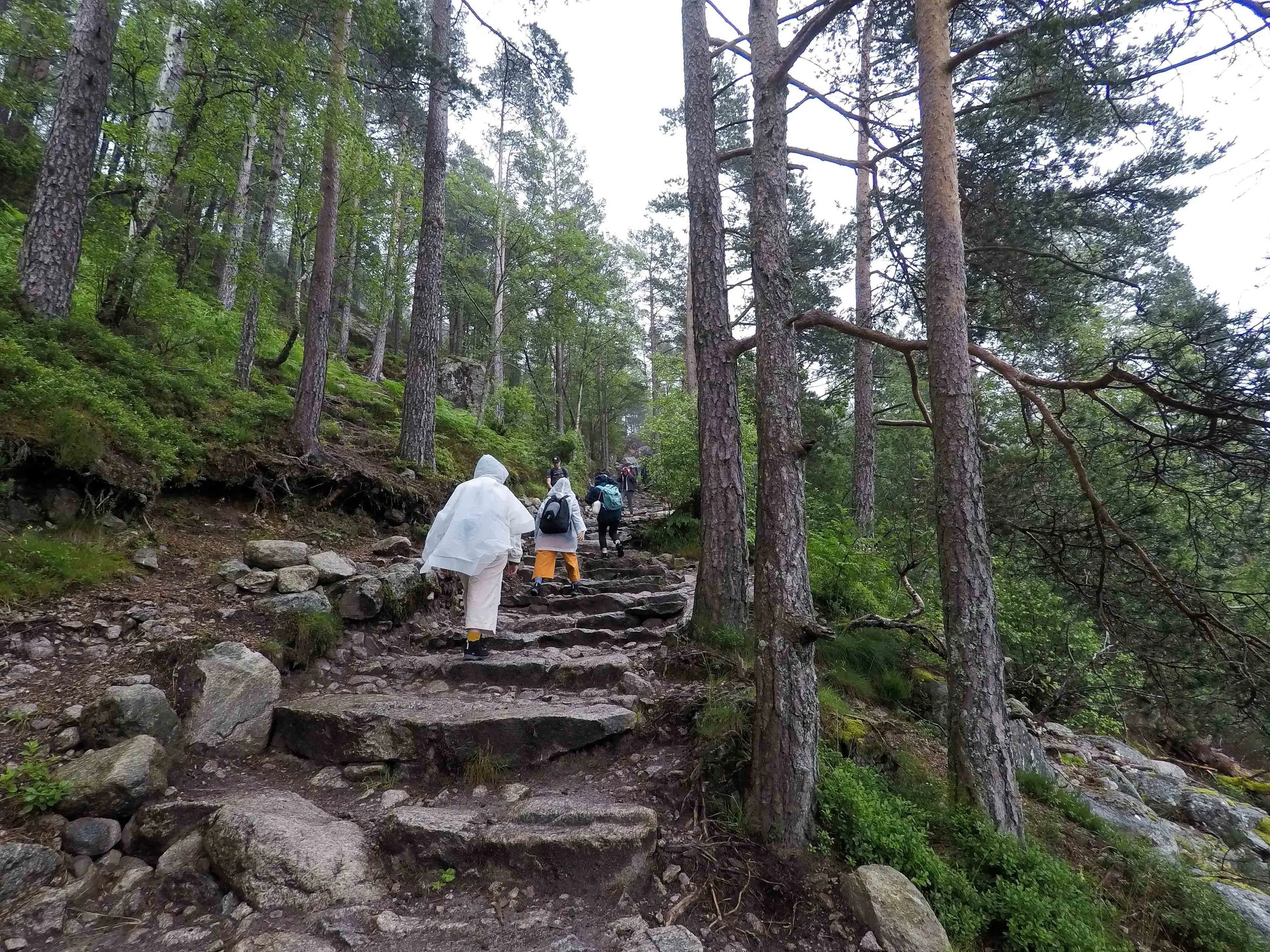一開始的大石級路段尚算輕鬆