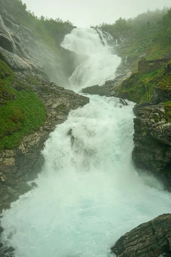 DSC09597.jpg