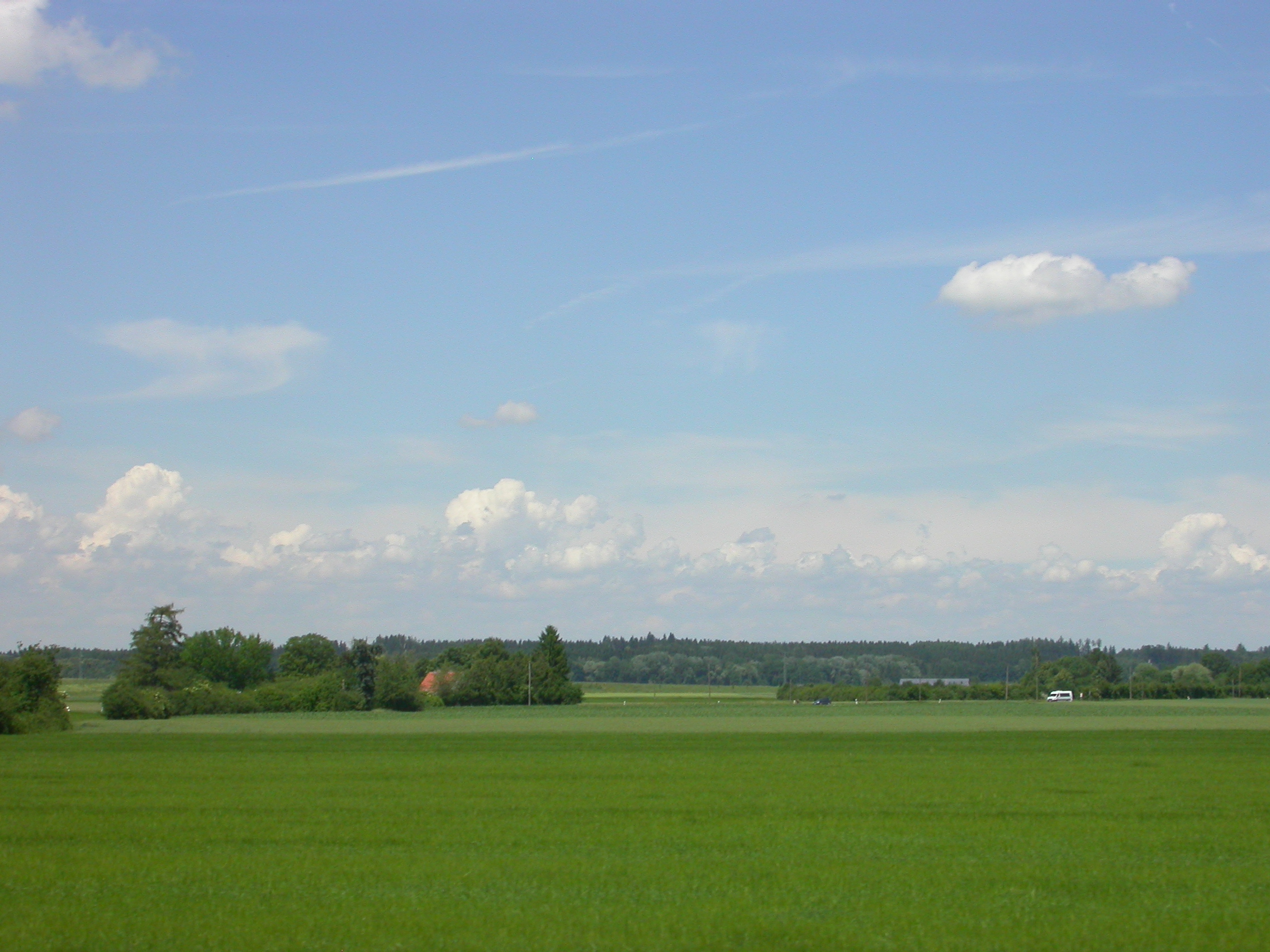 Picture 006.jpg