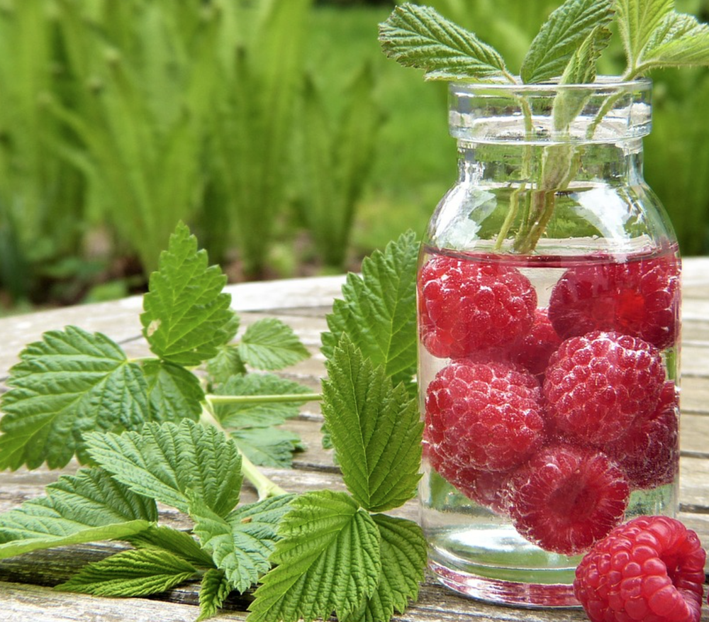 TO DETOX OR NOT TO DETOX?