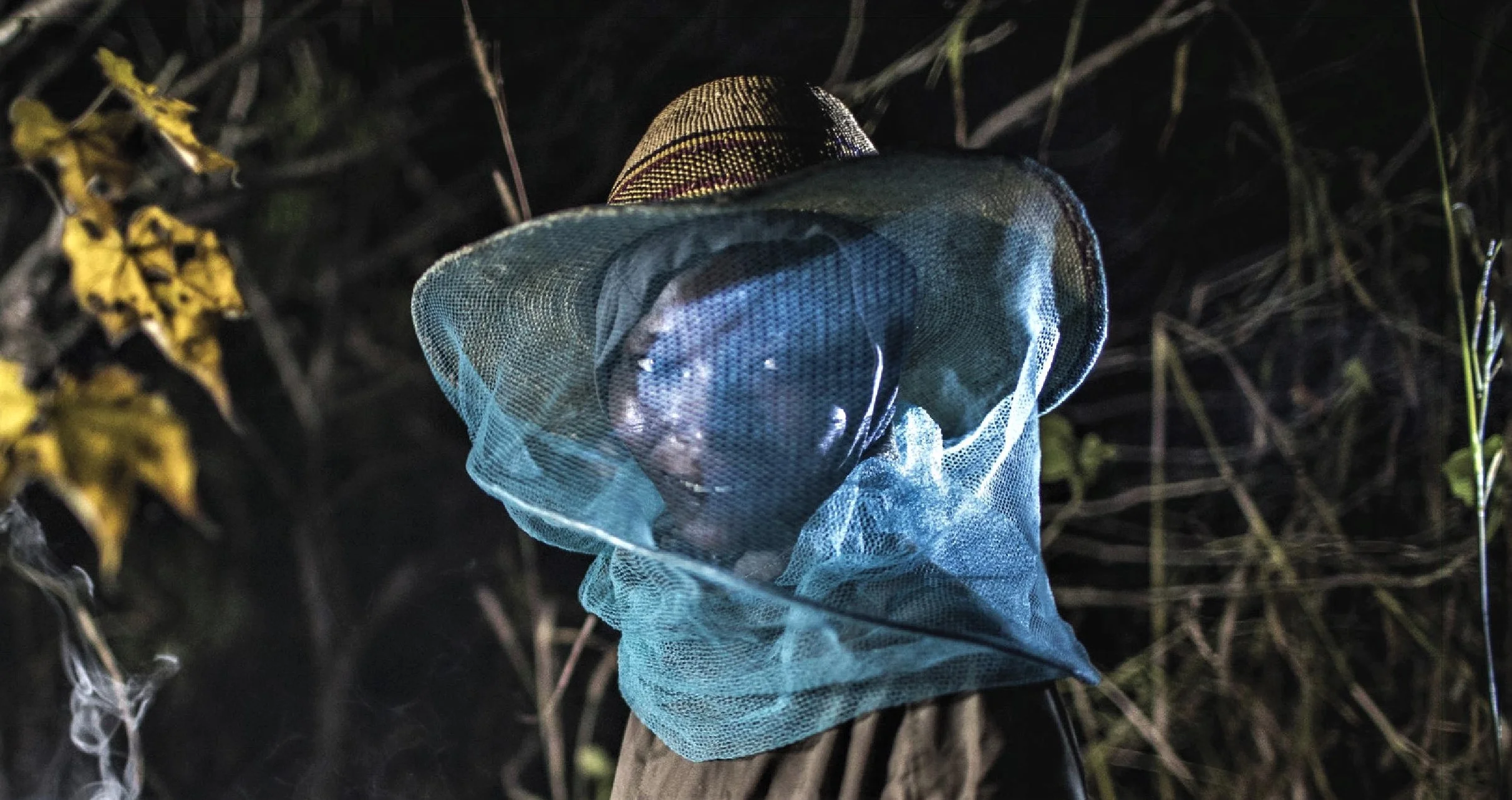 Beekeeping gallery.jpg