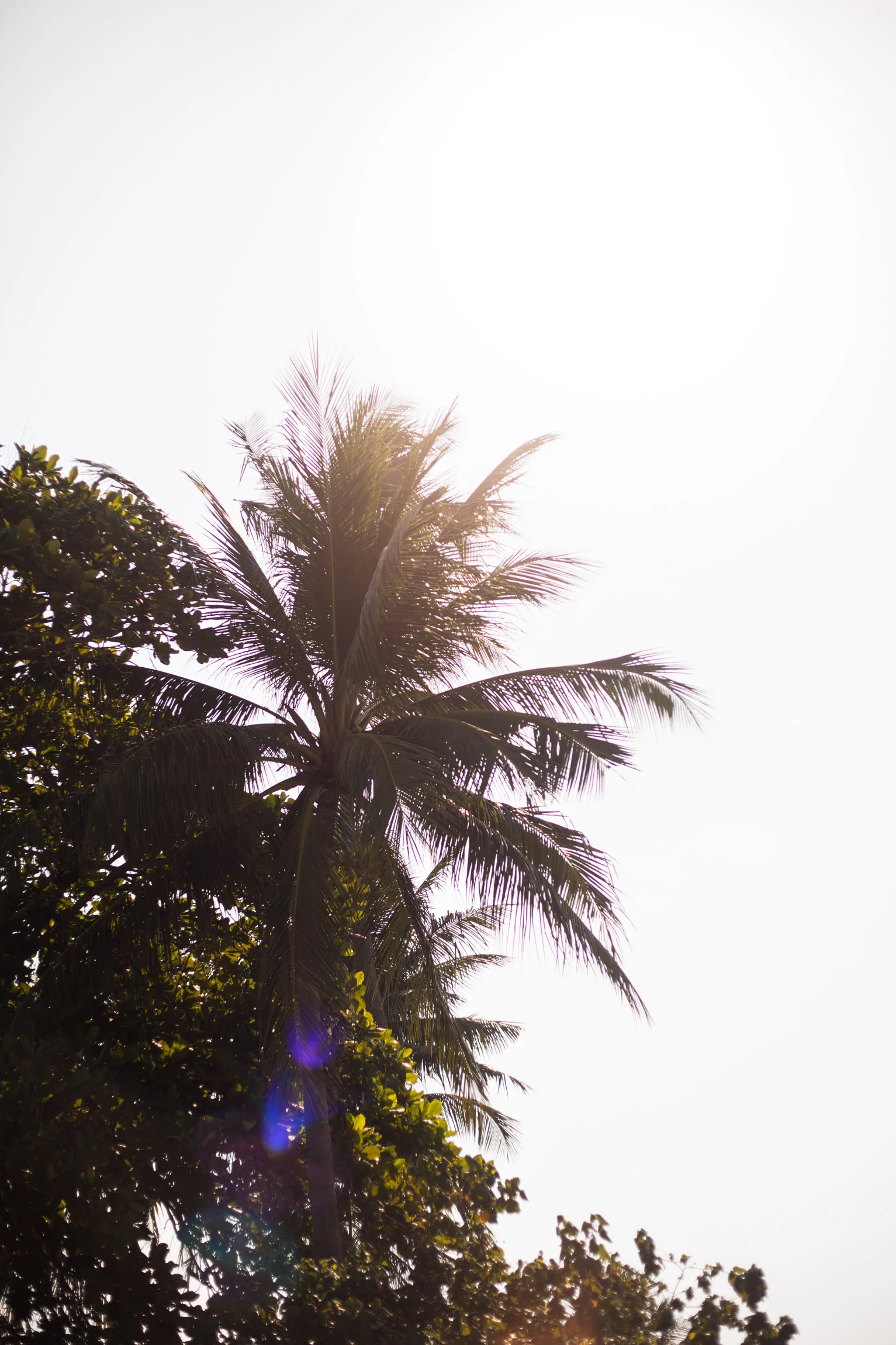 monasalminenphoto - random-1664.JPG