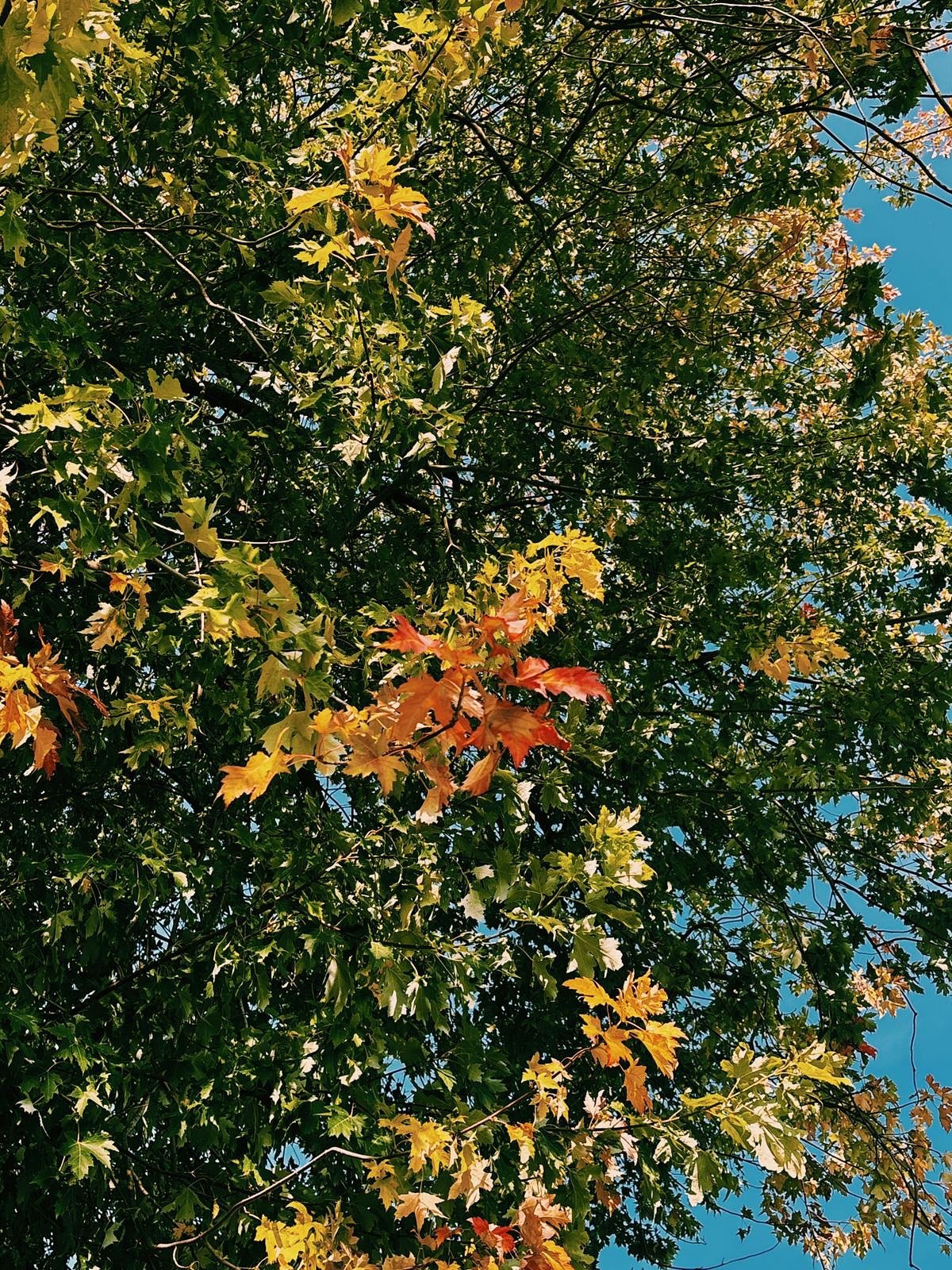 somewhere in the trees, the wind, or the waves&hellip;you&rsquo;ll find the answer ✨

📸 @claire_kramer_ 🙏