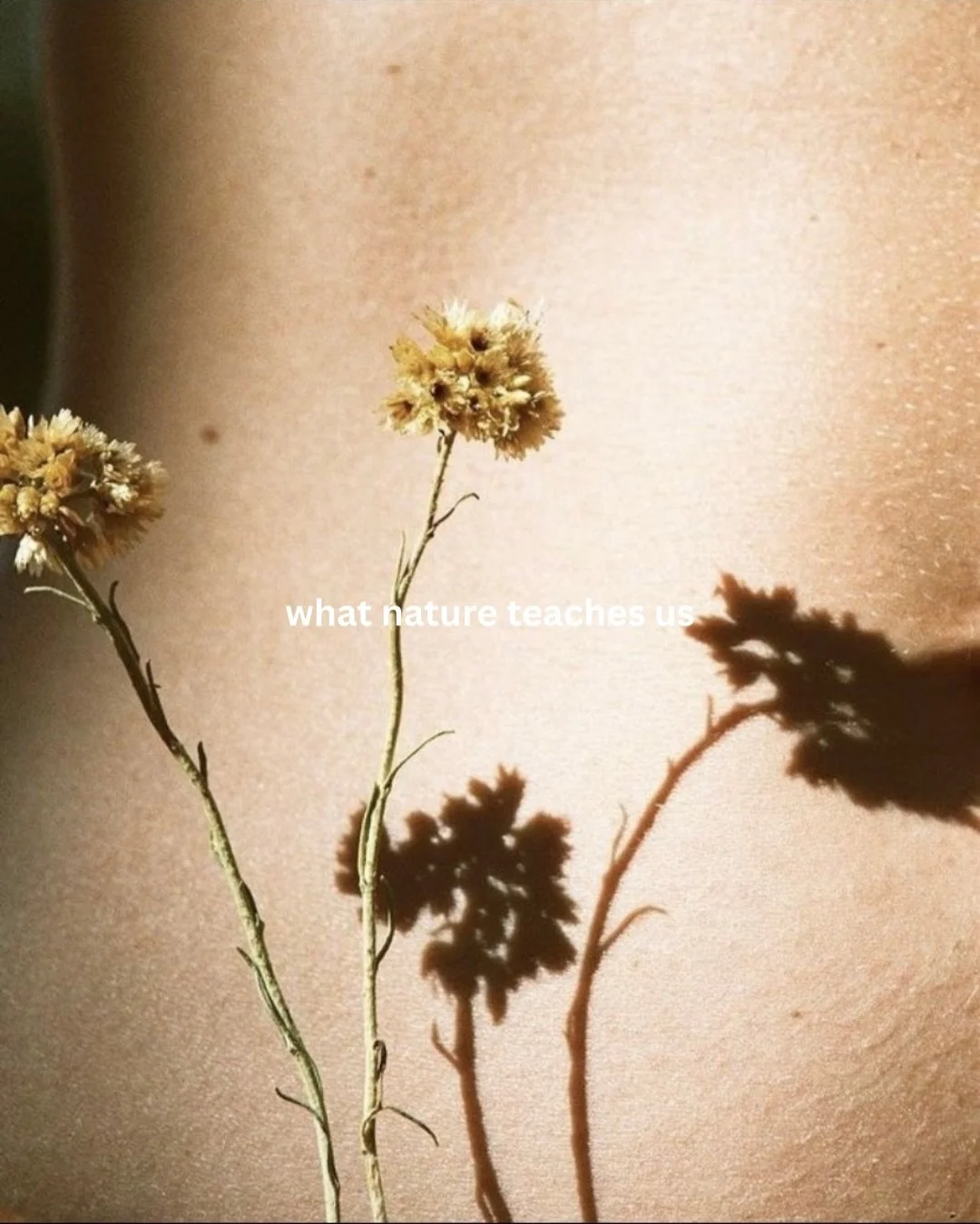 Nature doesn&rsquo;t rush, yet everything unfolds 🌱