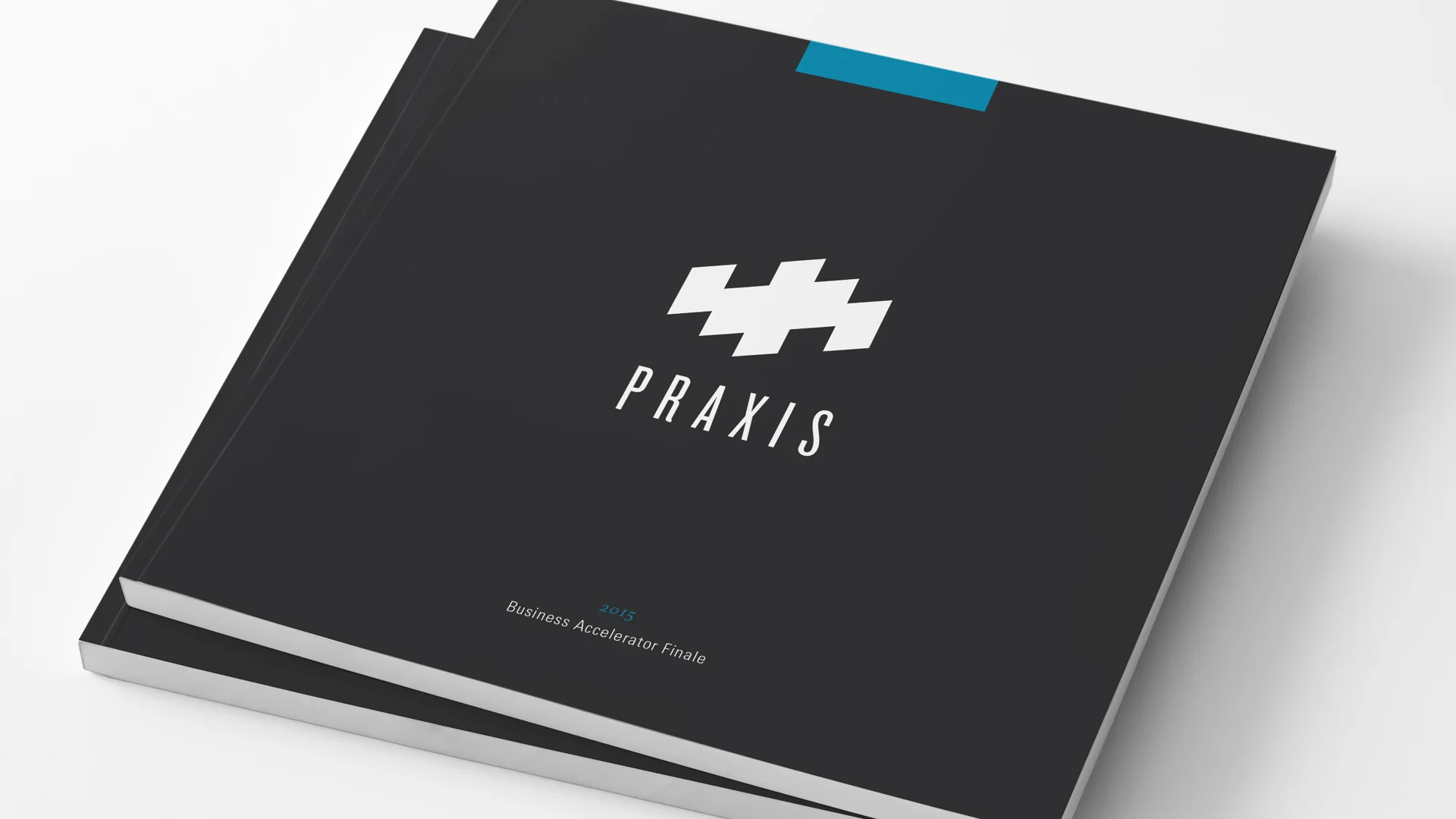 praxis-business-cover.jpg