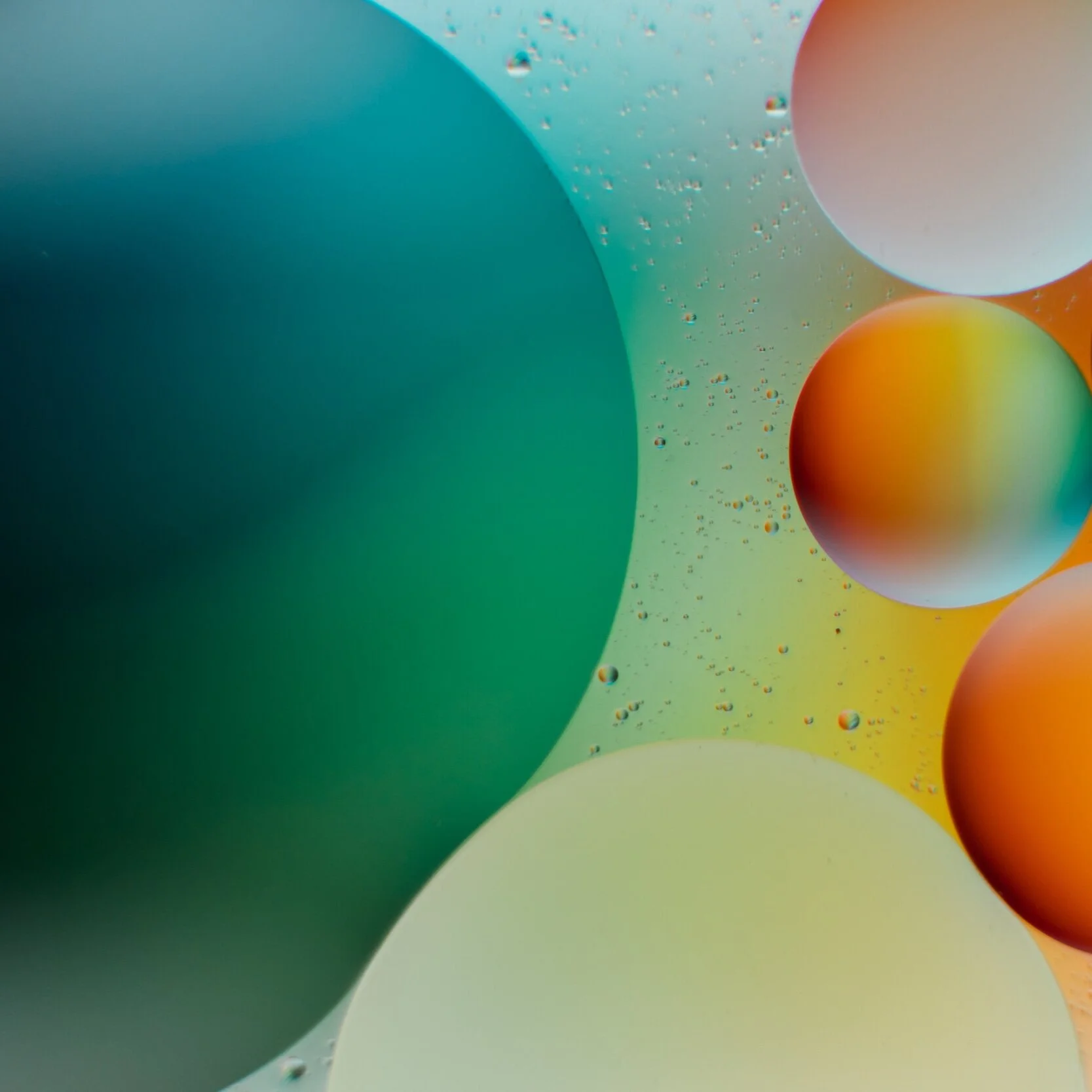 Profile Meeting 4/22