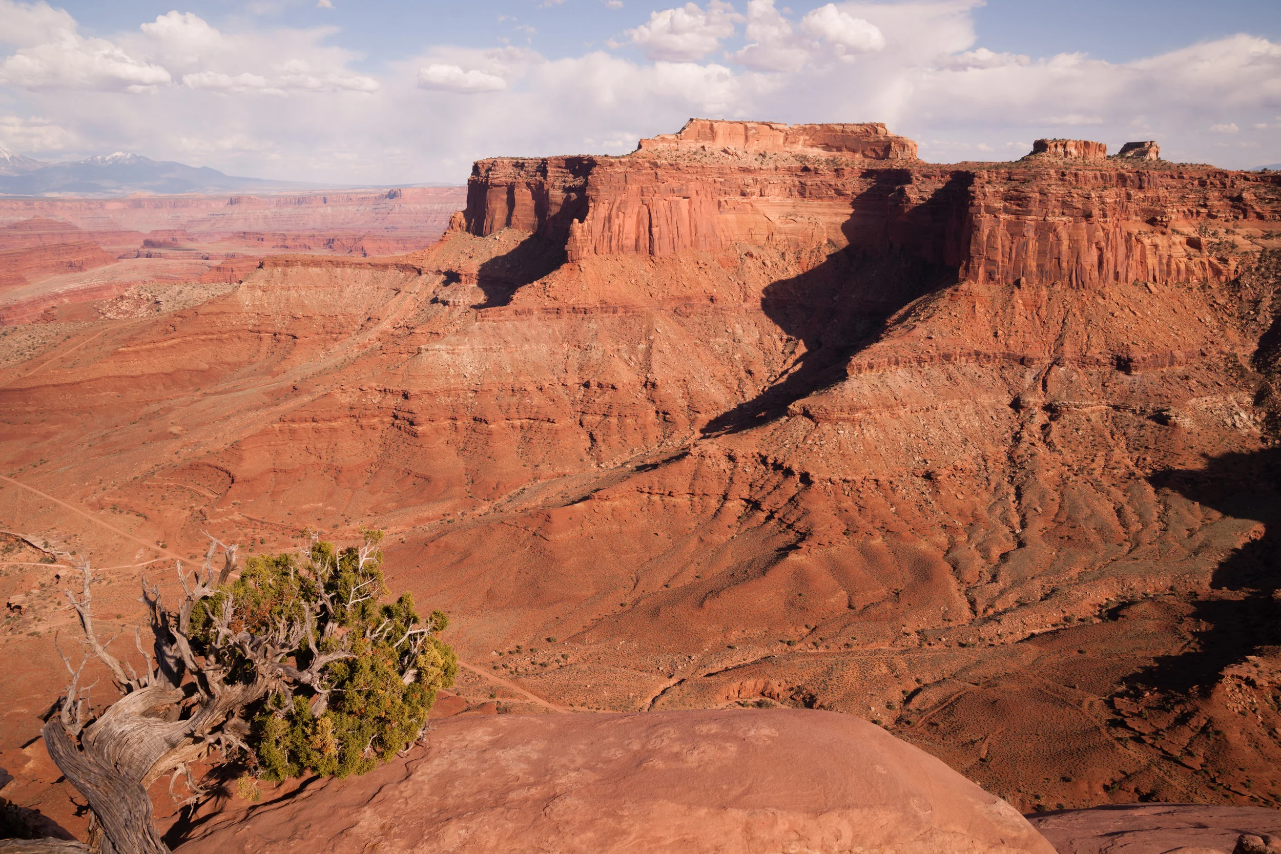 canyonlands-national-park-southeastern-utah-red-PTZ8PBF.jpg