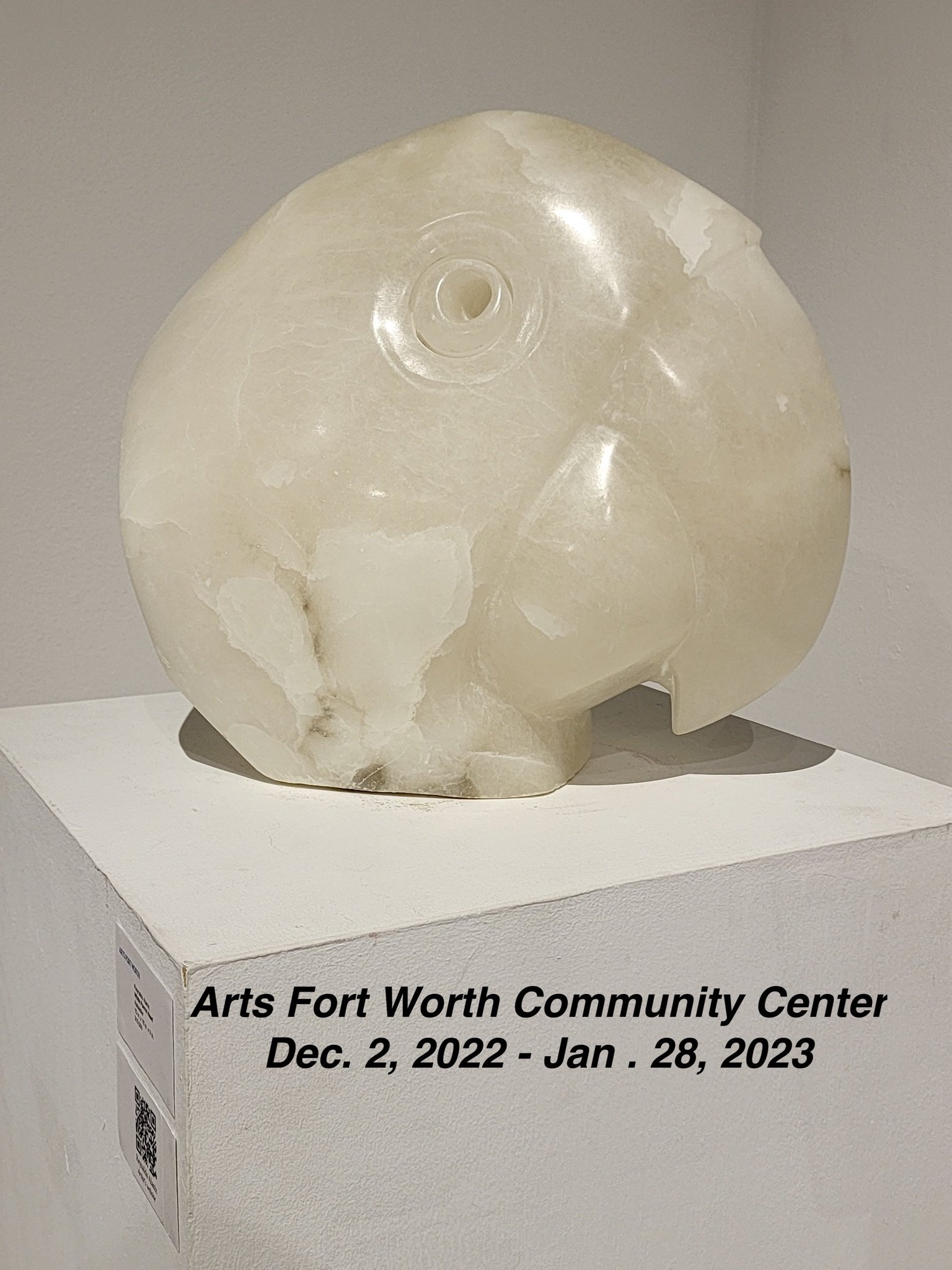Ft. Worth Parrot