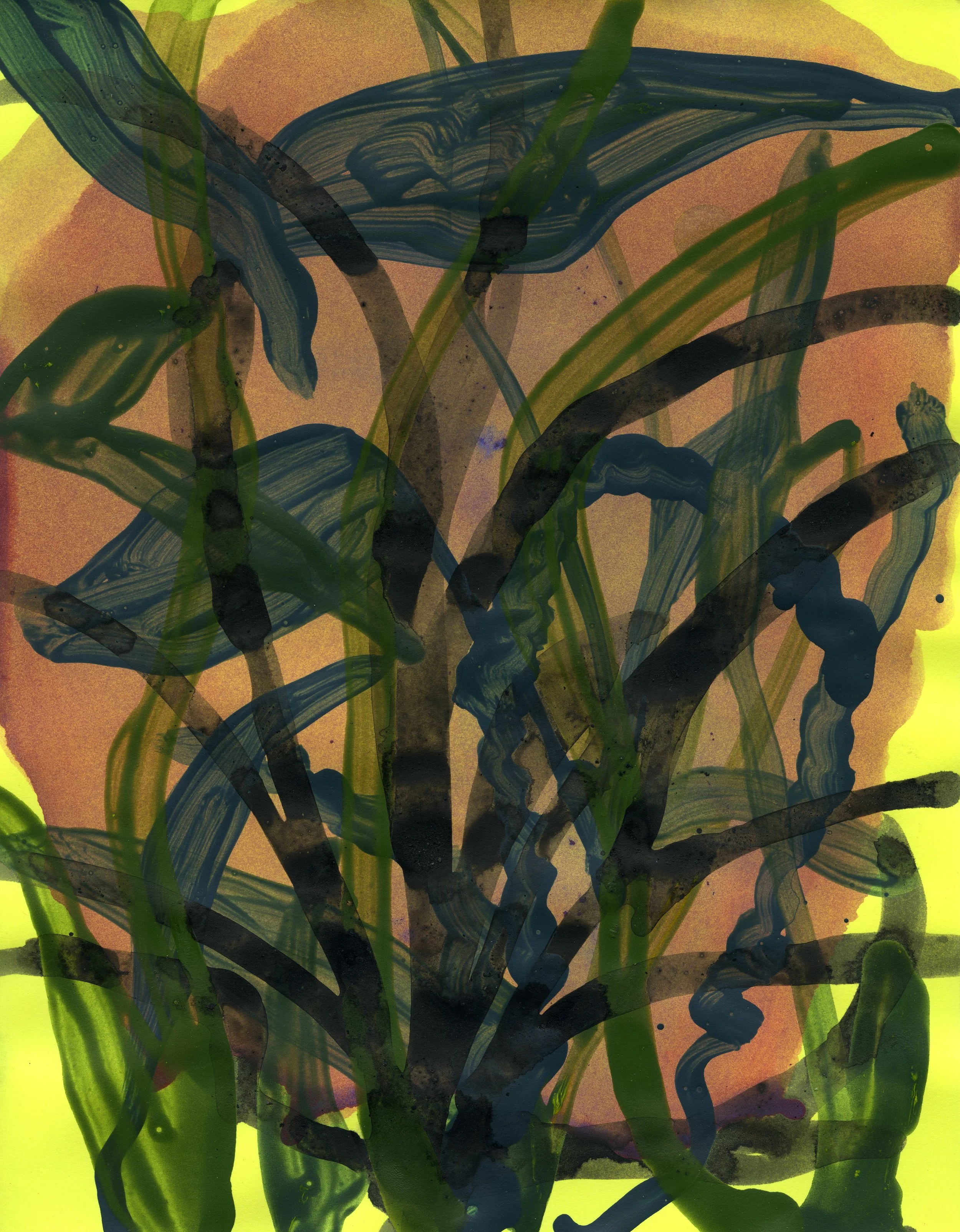Hybrid grass