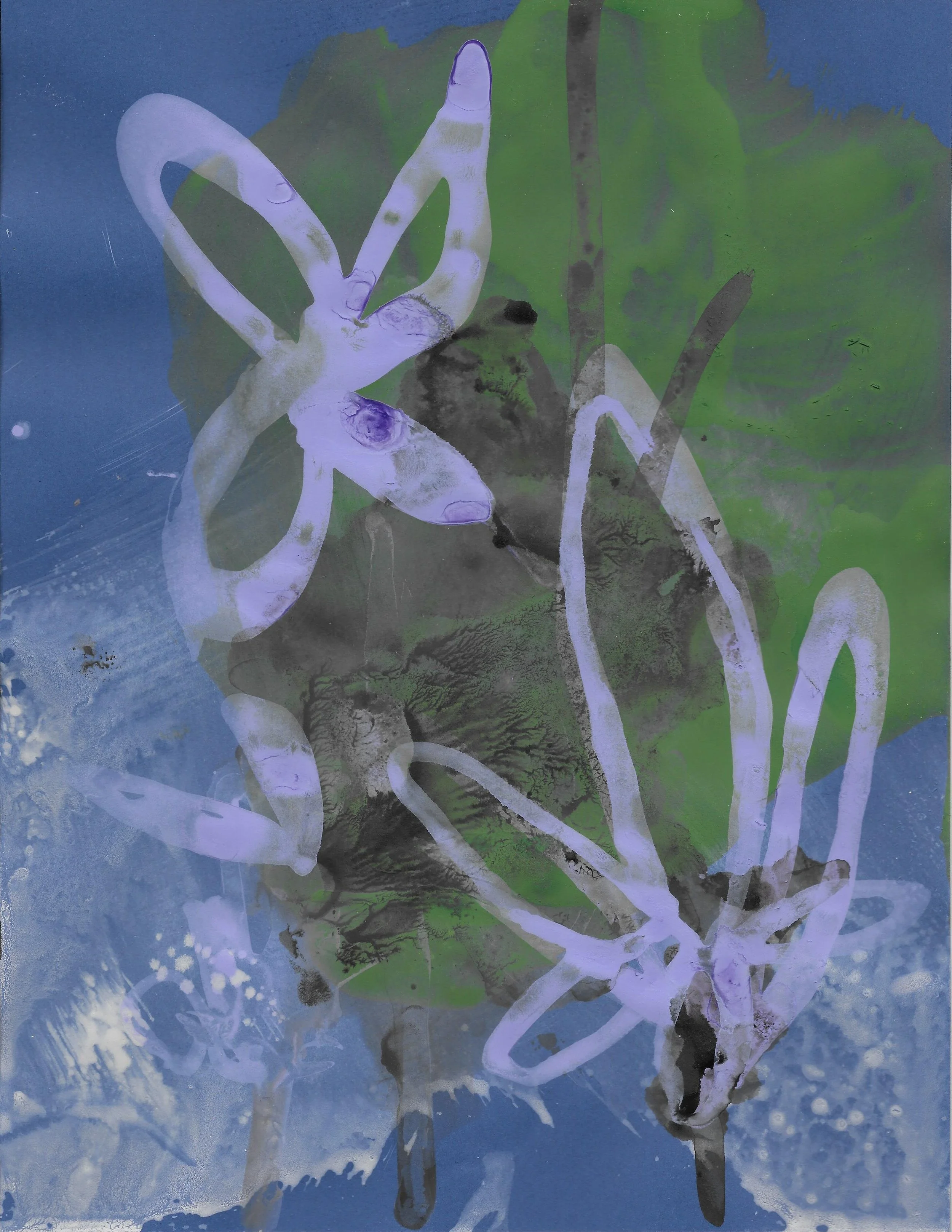 A lavandula gift I