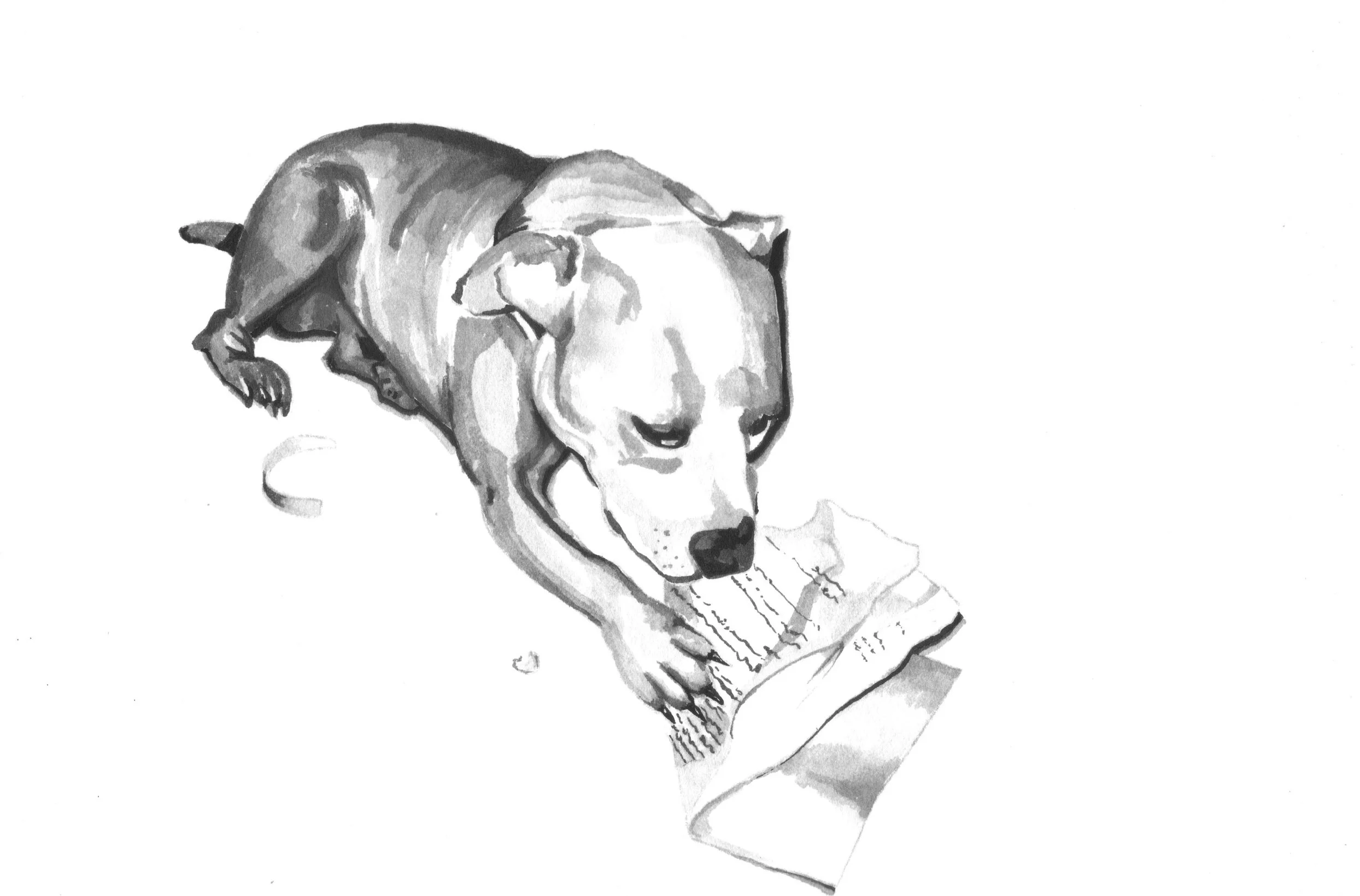 The dog ate my homework