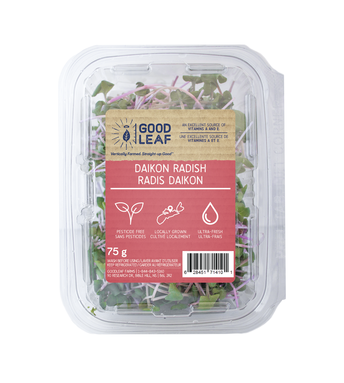 Copy of Micro Radish
