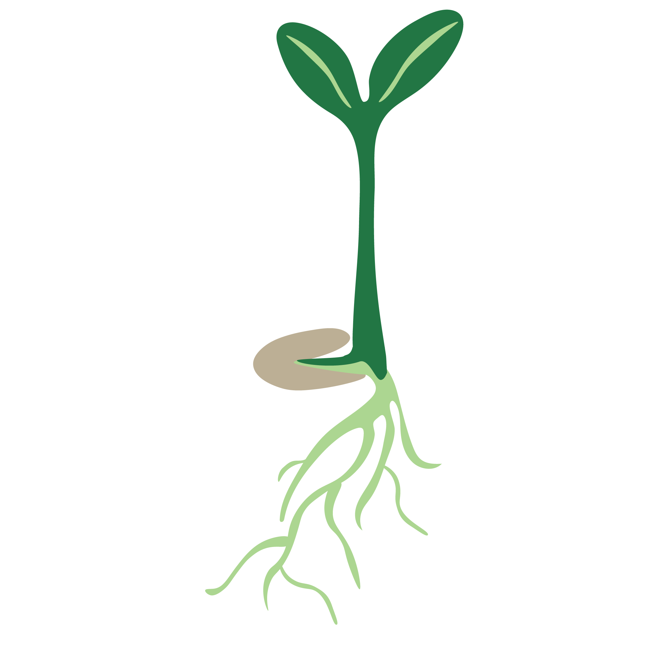 Seed to Stem-15.png