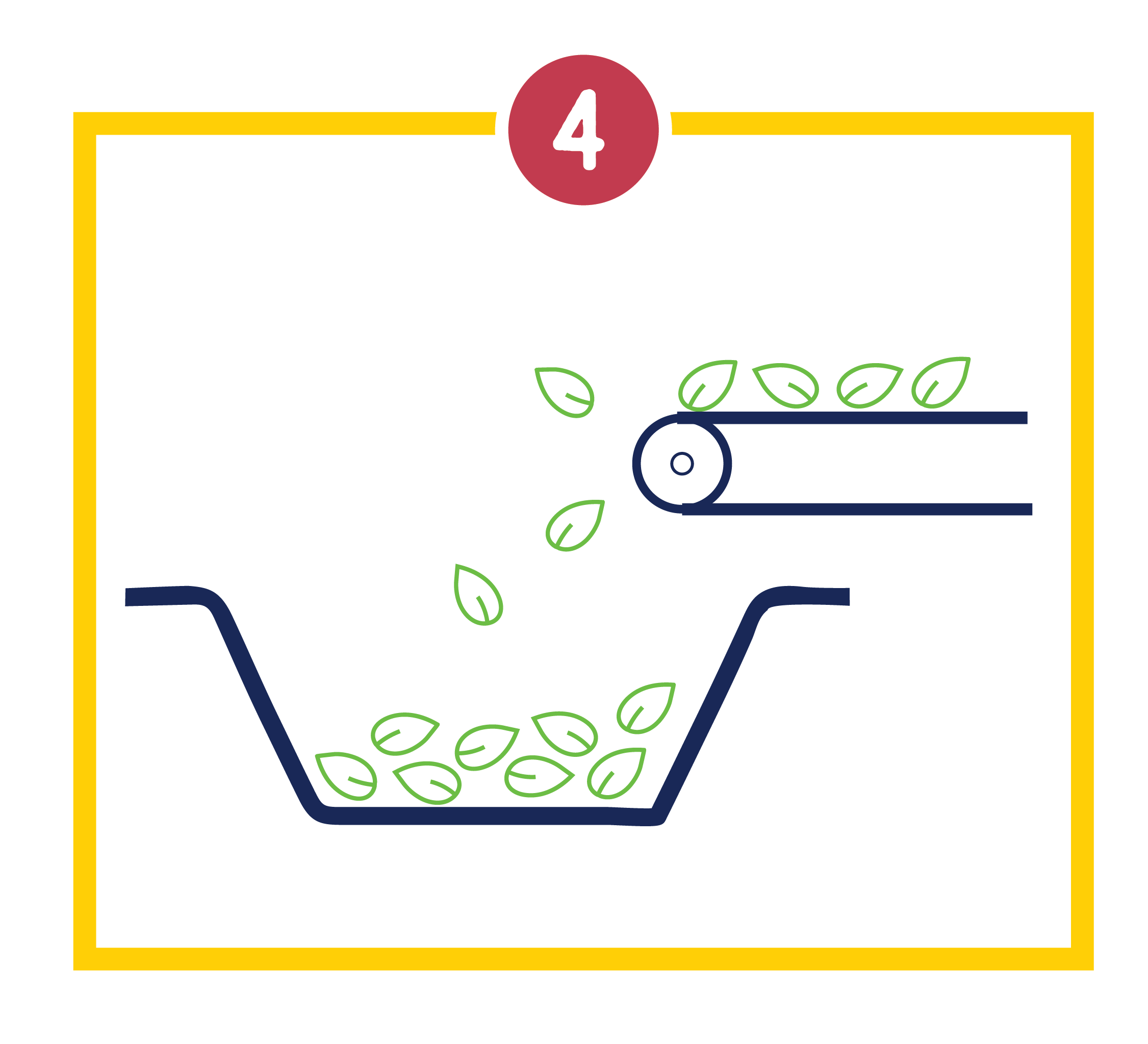 6 Process Steps No Text-26.png