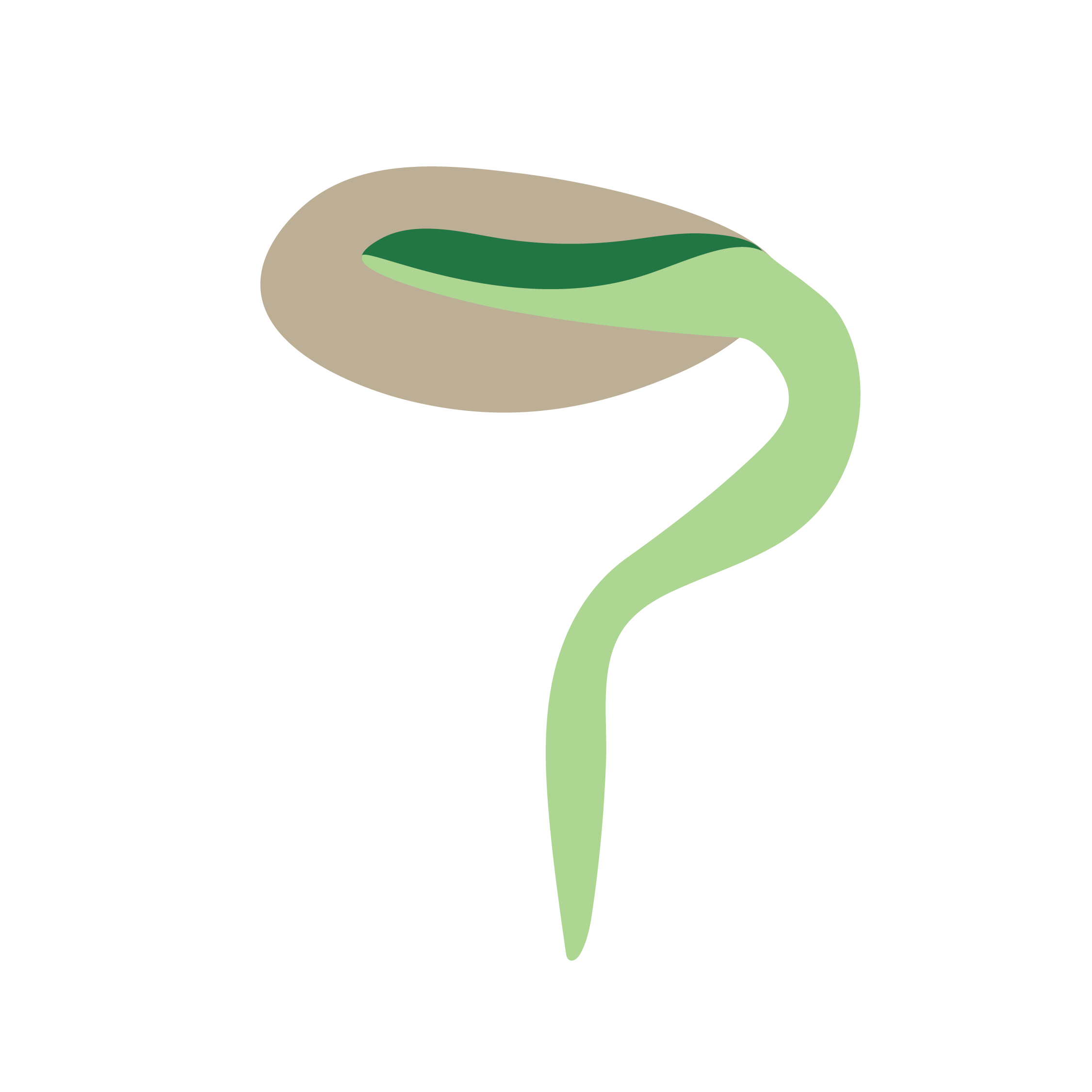 Icons for Web Renewal-37.png