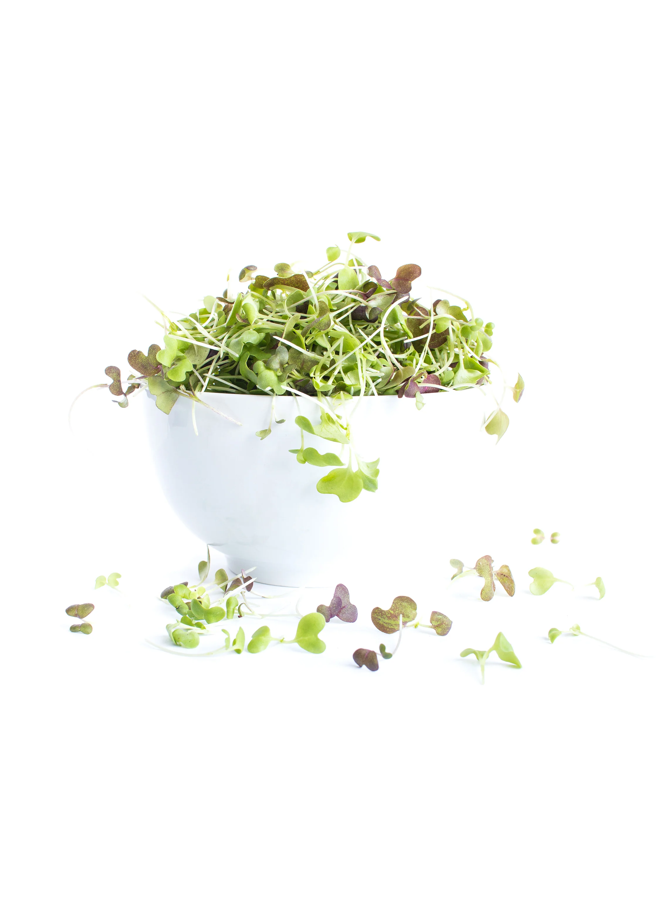 MicroSpice Bowl.jpg