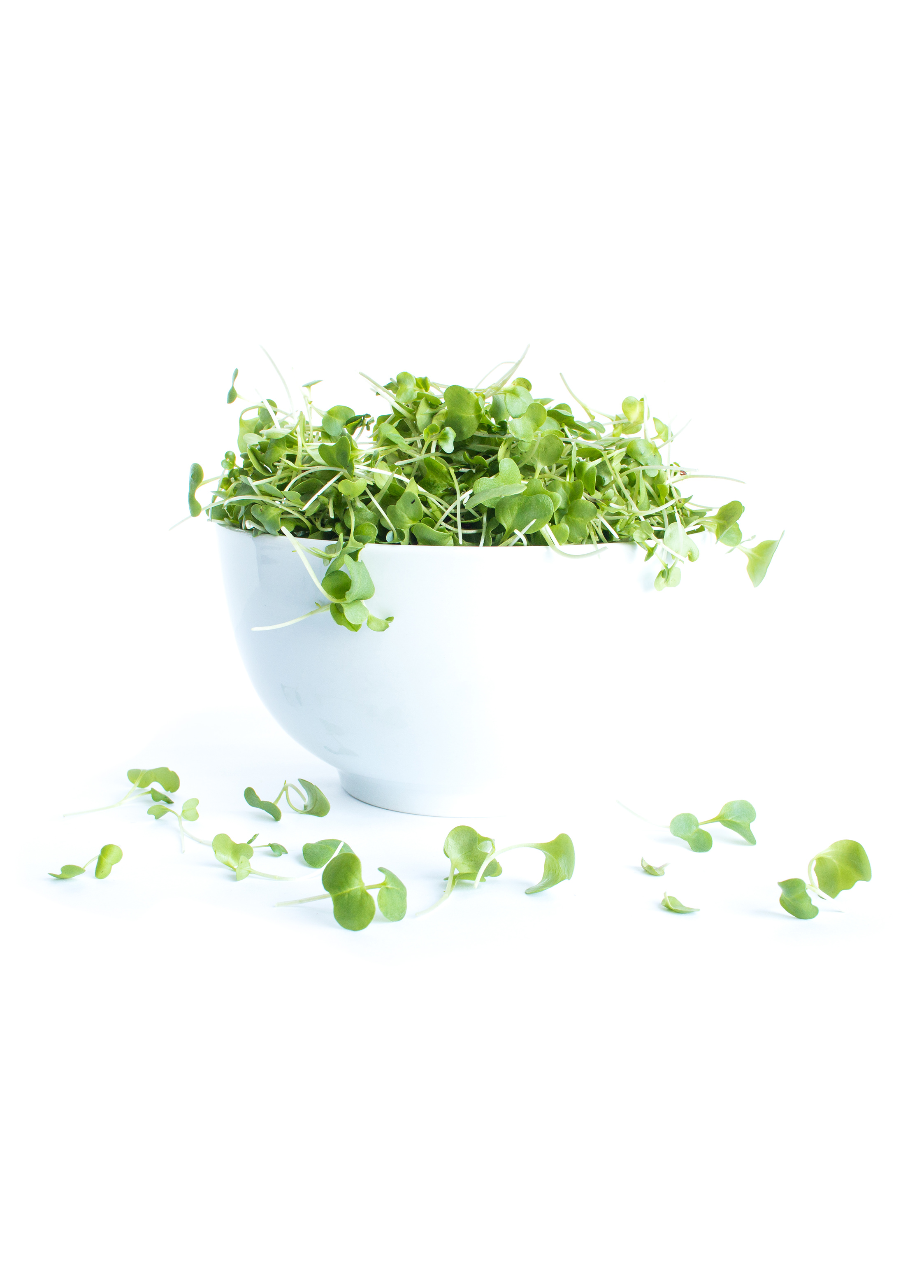 MicroBroccoli Bowl.jpg