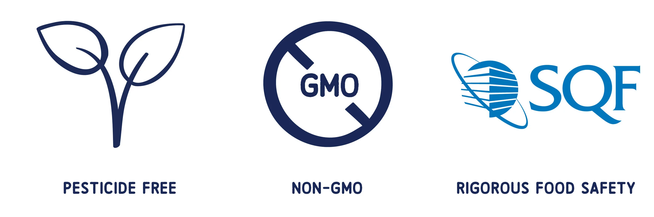 Grouped Icons - 3_Home 2.jpg