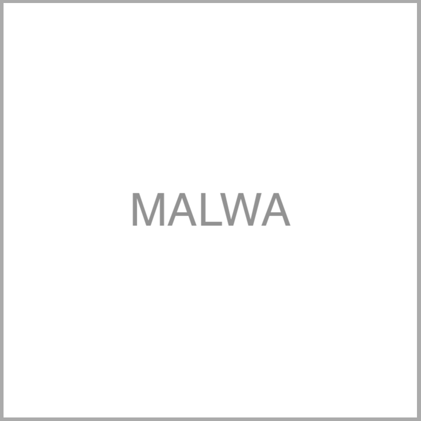 frame malwa no price tag.png