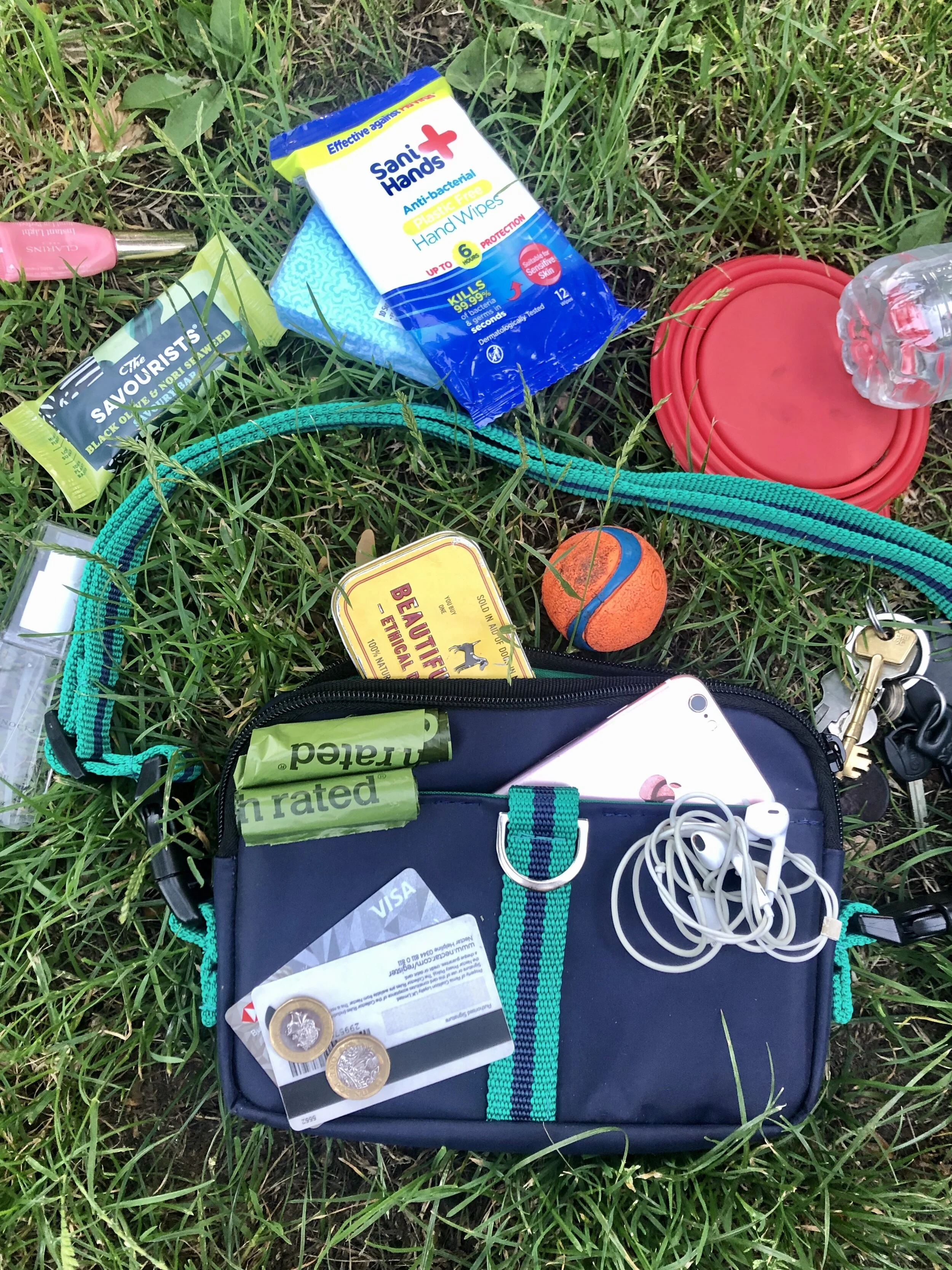 What's in our dog walking bag