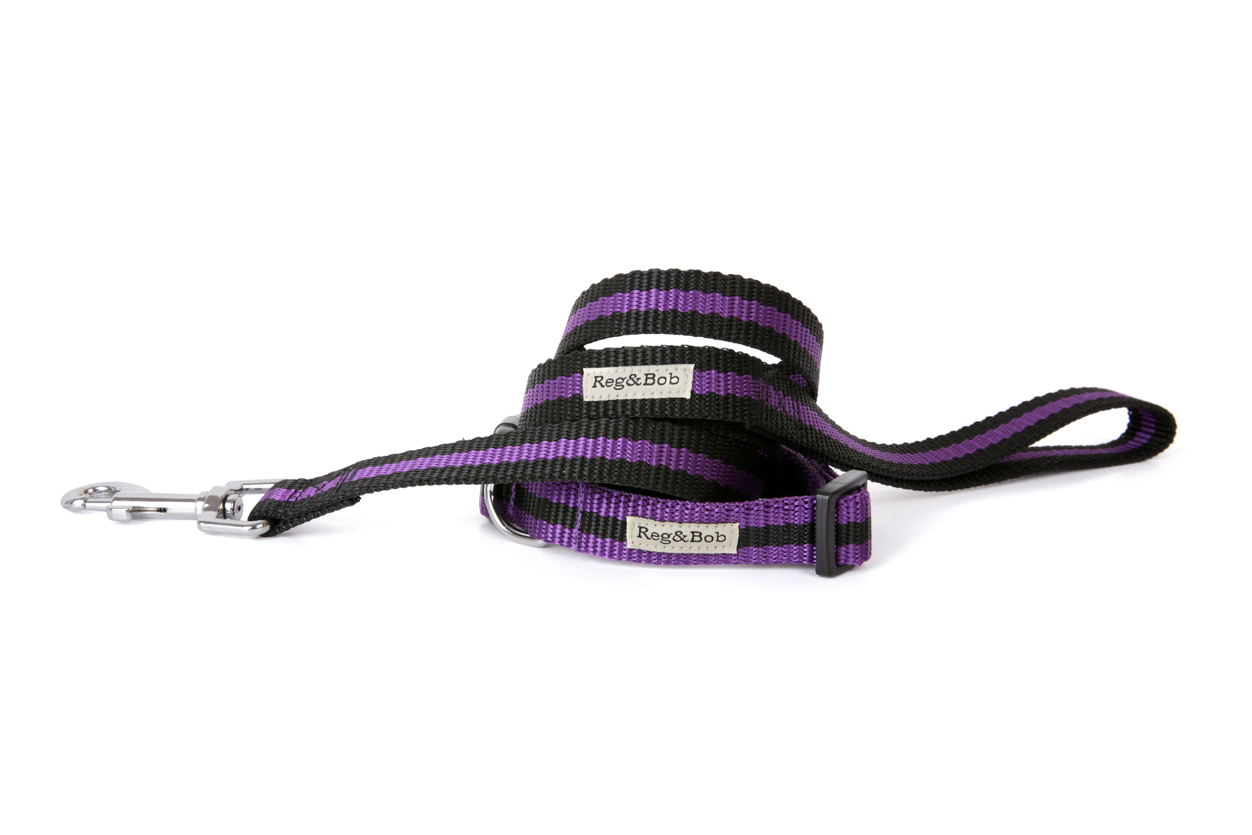 purple dog leads