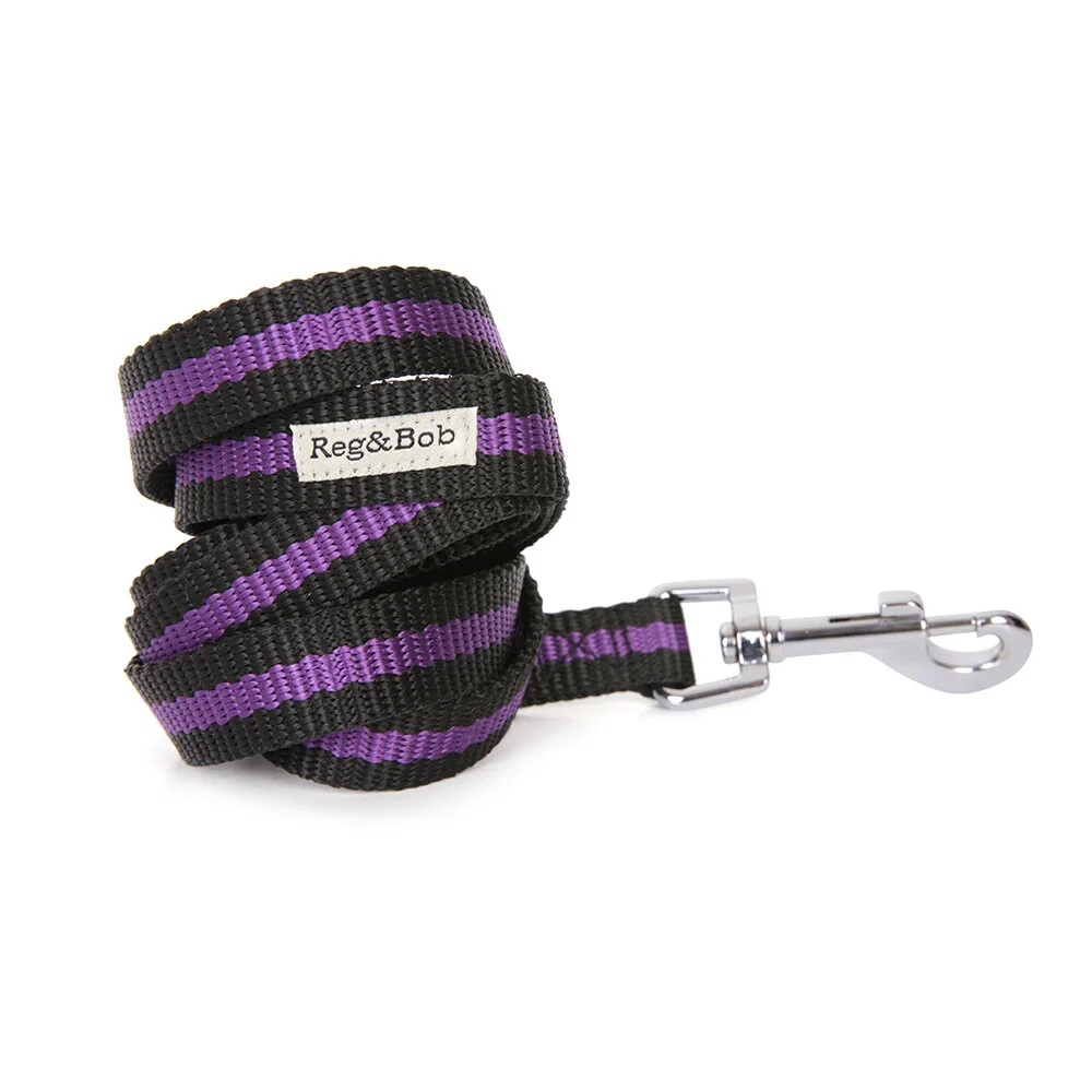 purple dog lead