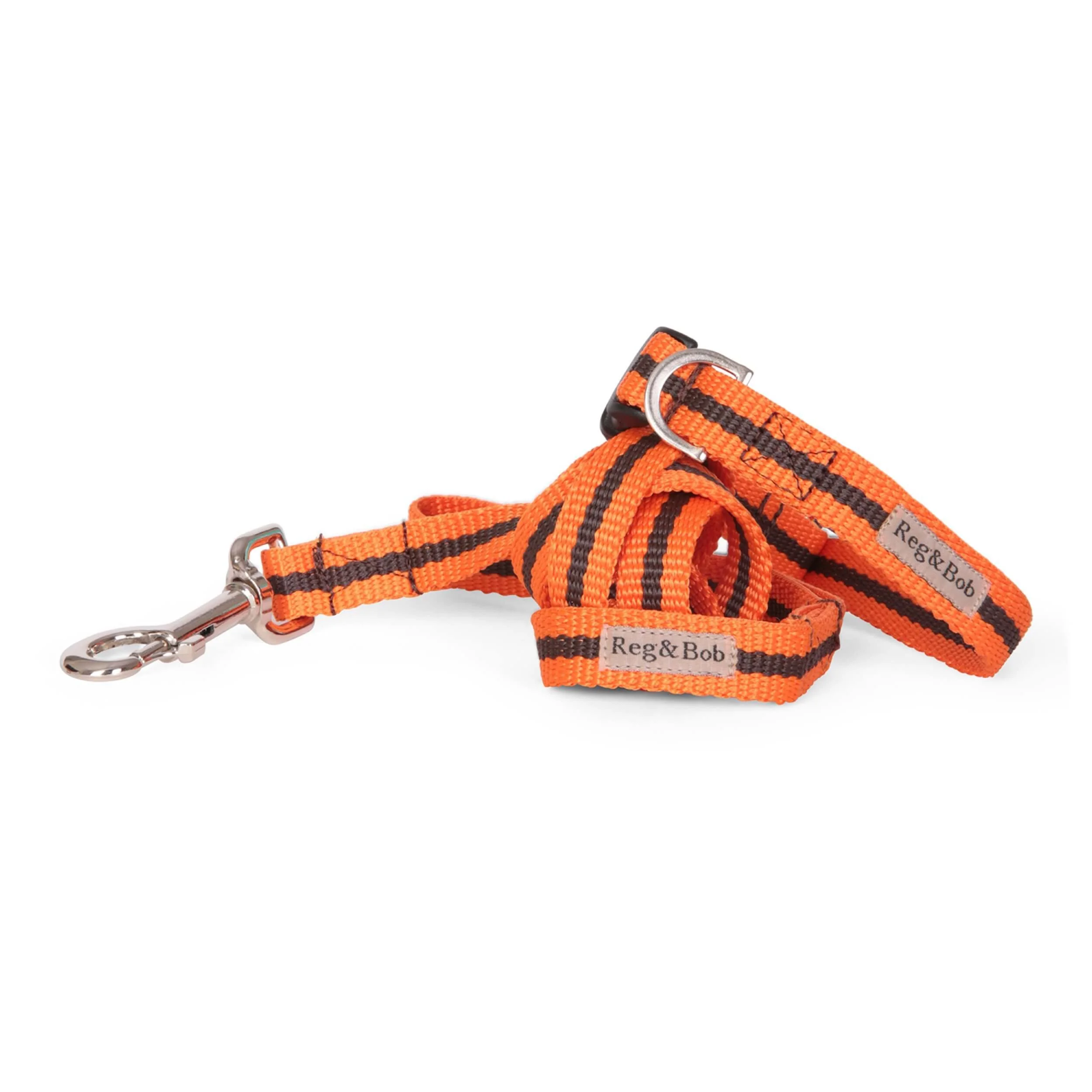 Striped Dog Collar and Lead Set in size SmallMedium — Reg&Bob
