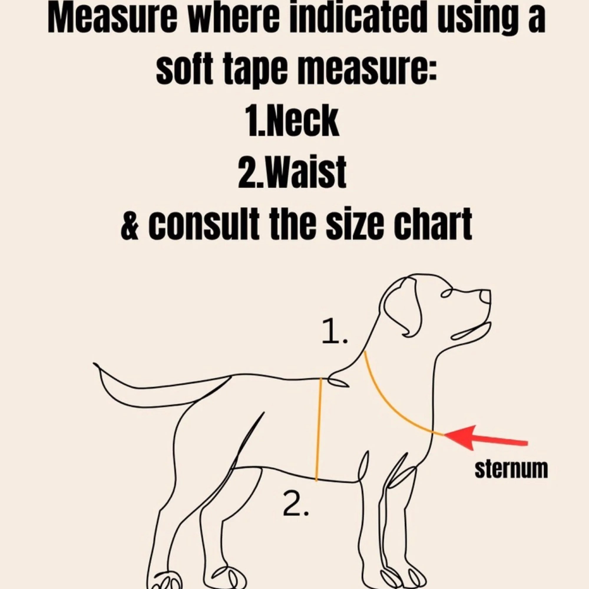 How-+to-measure-for-harness--reg-and-bob+%281%29.jpg