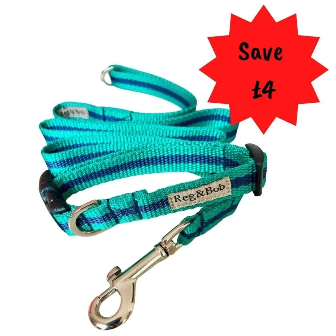 SMALL Dog collar &amp; lead set  - 7 colours