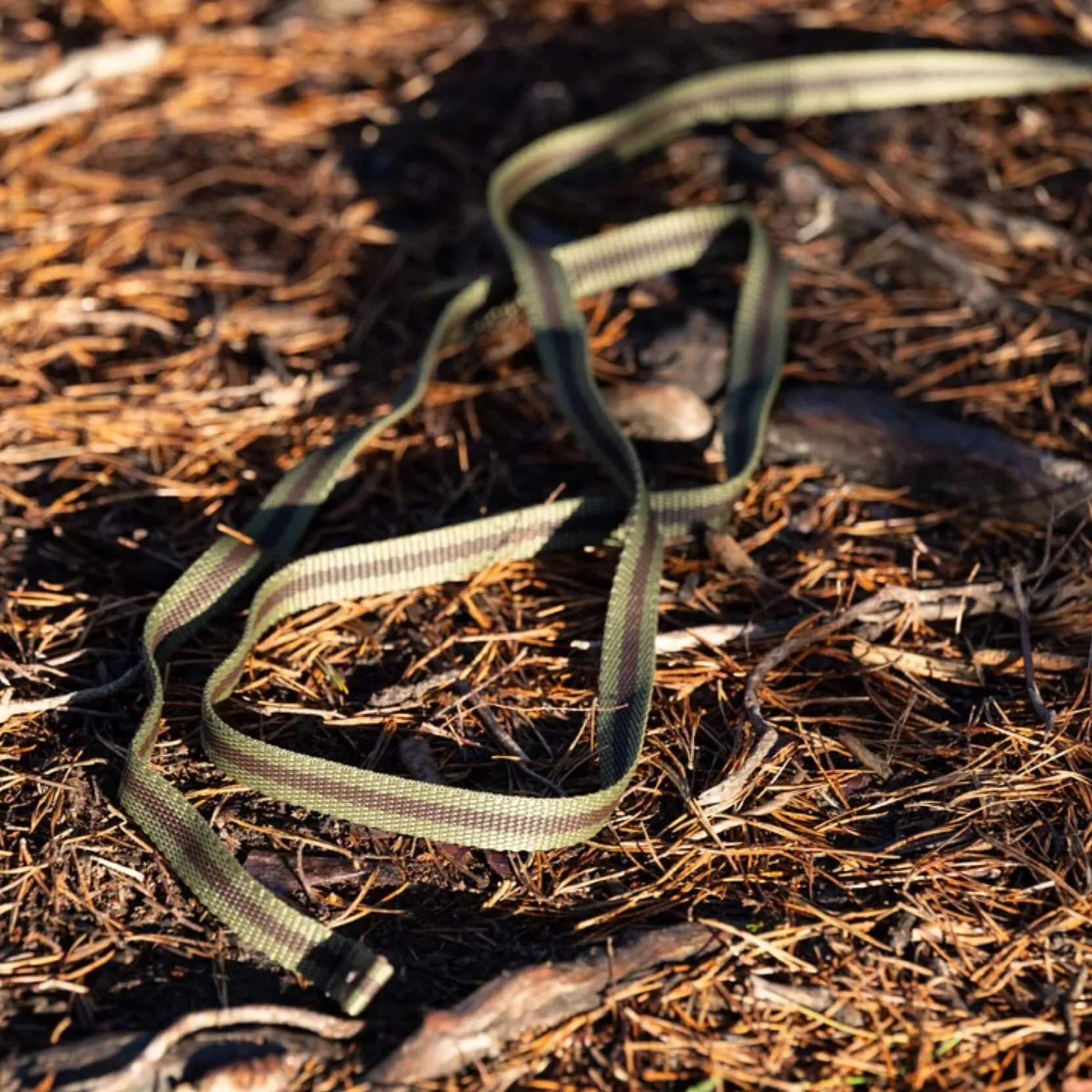 long line in khaki stripe by Reg&Bob lying on the forest floor