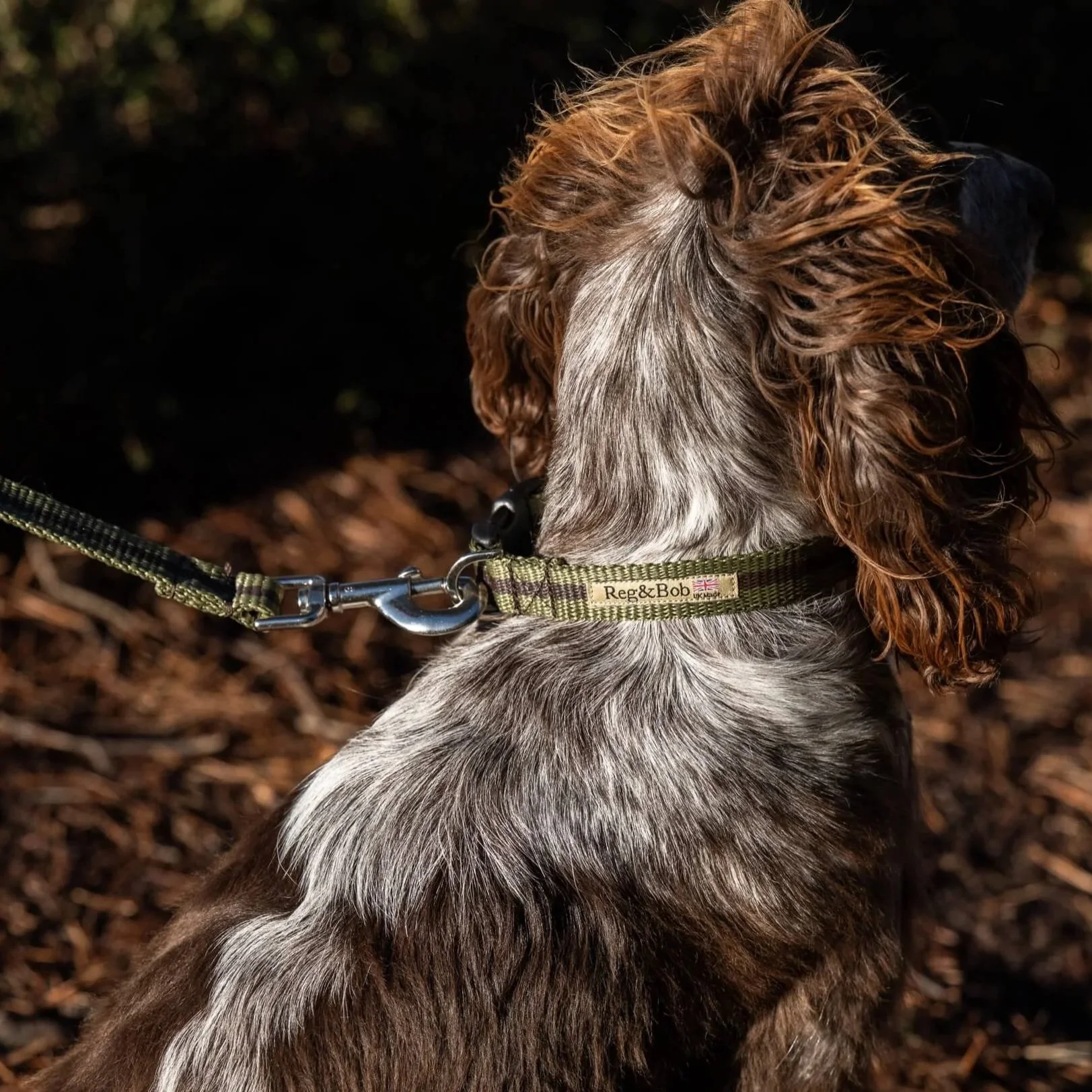 New in!!  KHAKI striped dog collar - 4 sizes