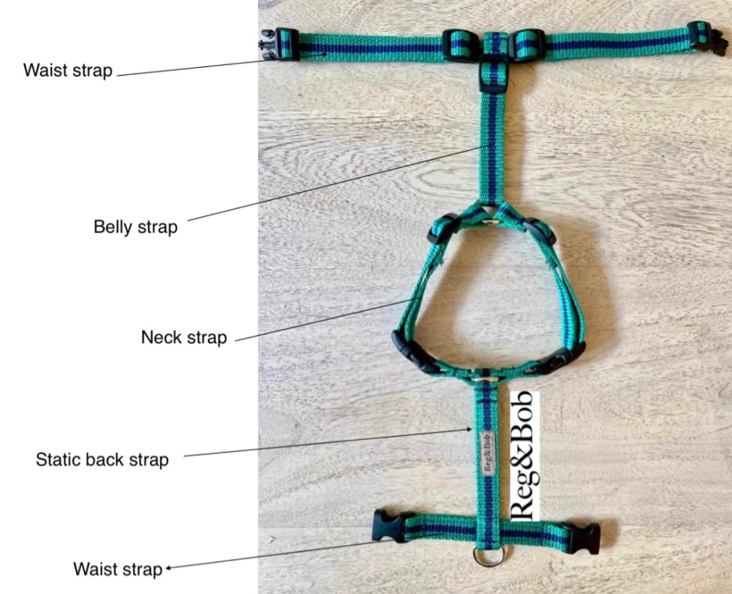 Bob Harness Razorbacks Harness fitting instructions........ — Reg&Bob