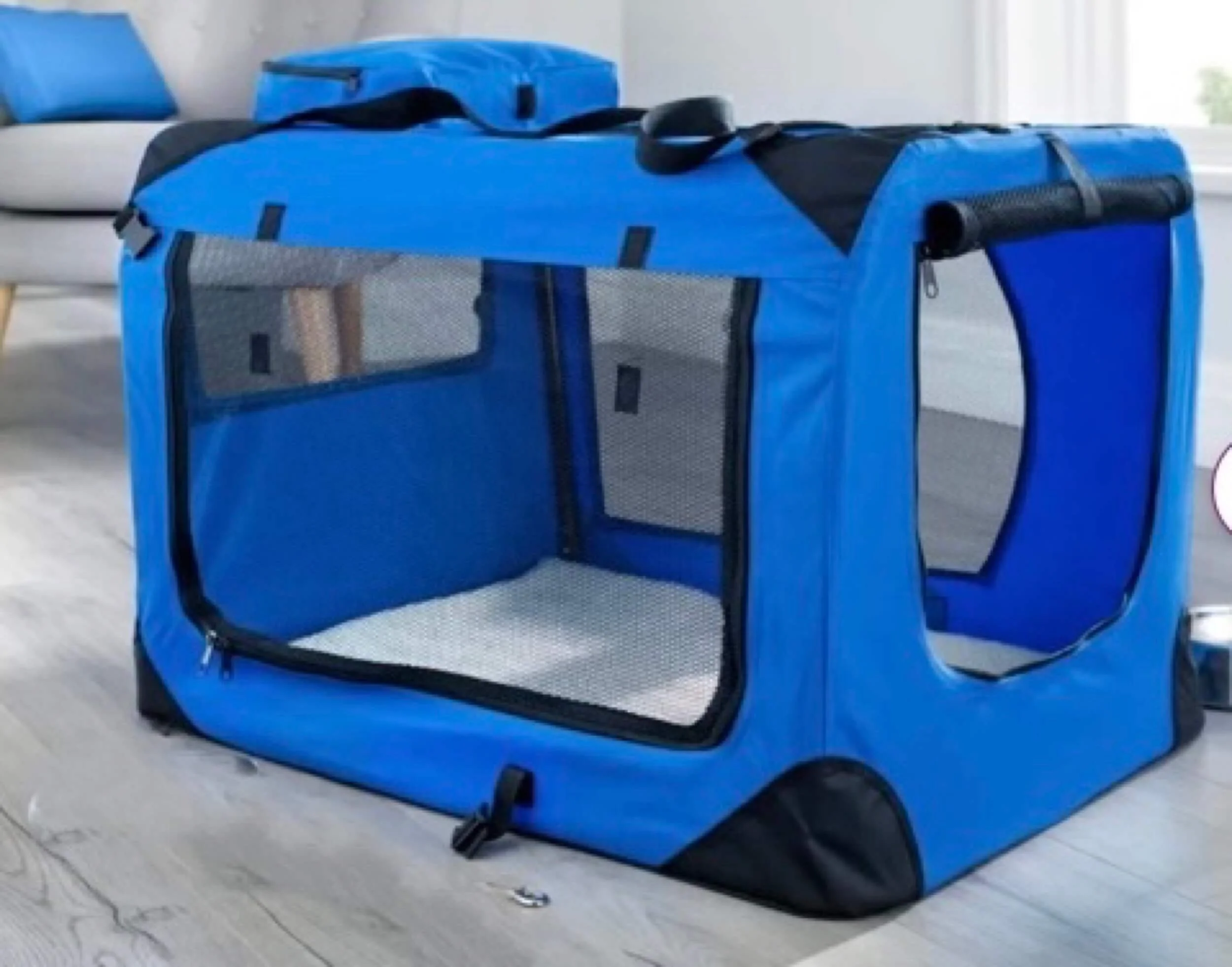 What to buy for your new puppy — Reg&Bob