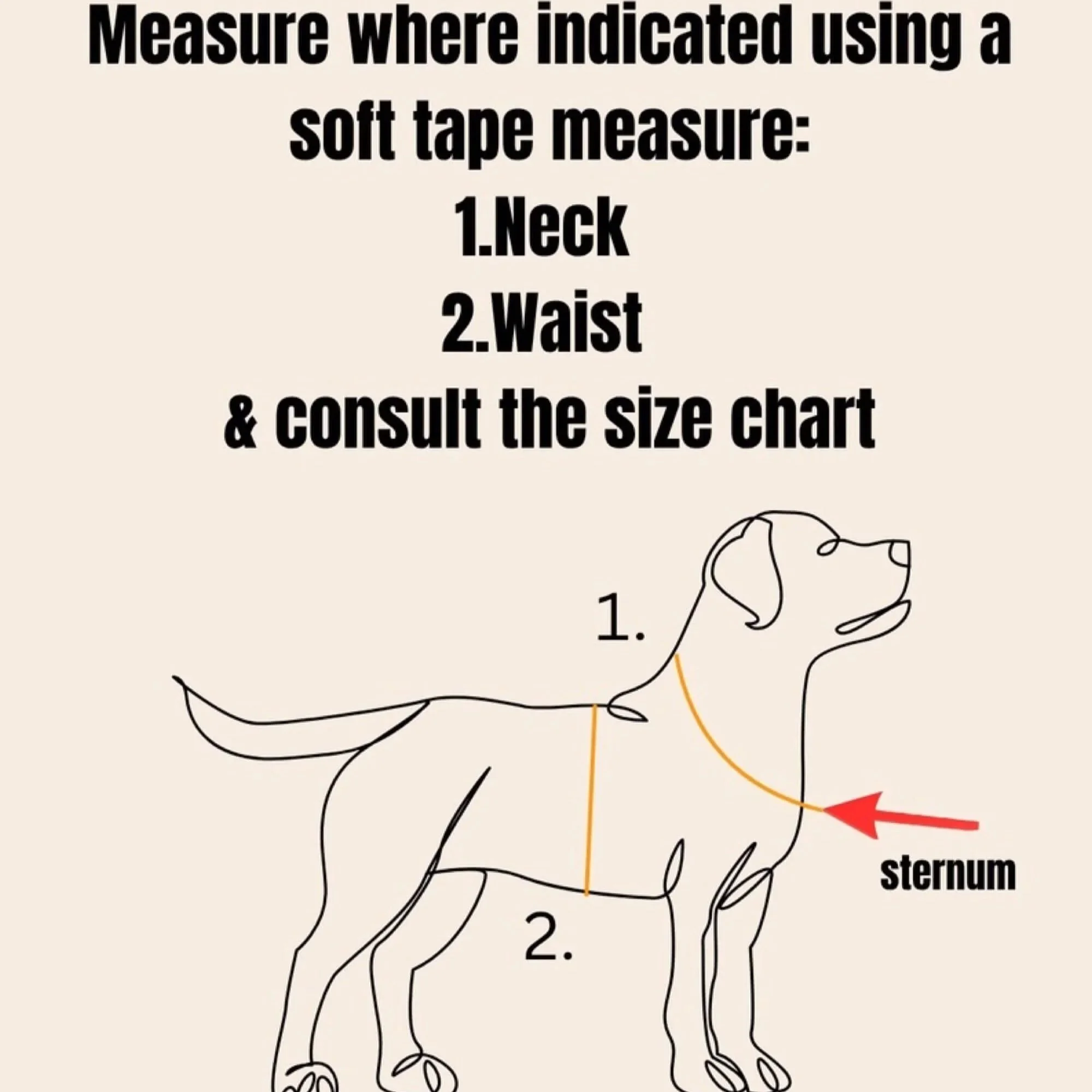 How to measure for Reg&Bob harness