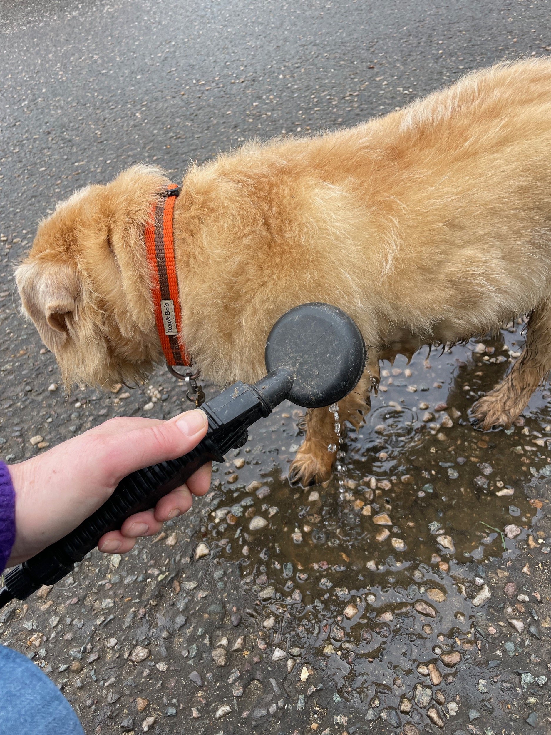 Reg Bob make the muddy dog clean up even easier with the Mud Daddy Reg Bob