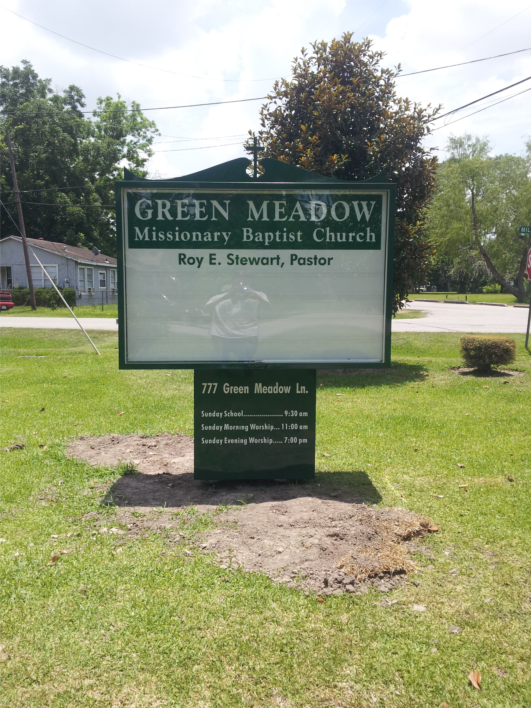 Green Meadow 1.png
