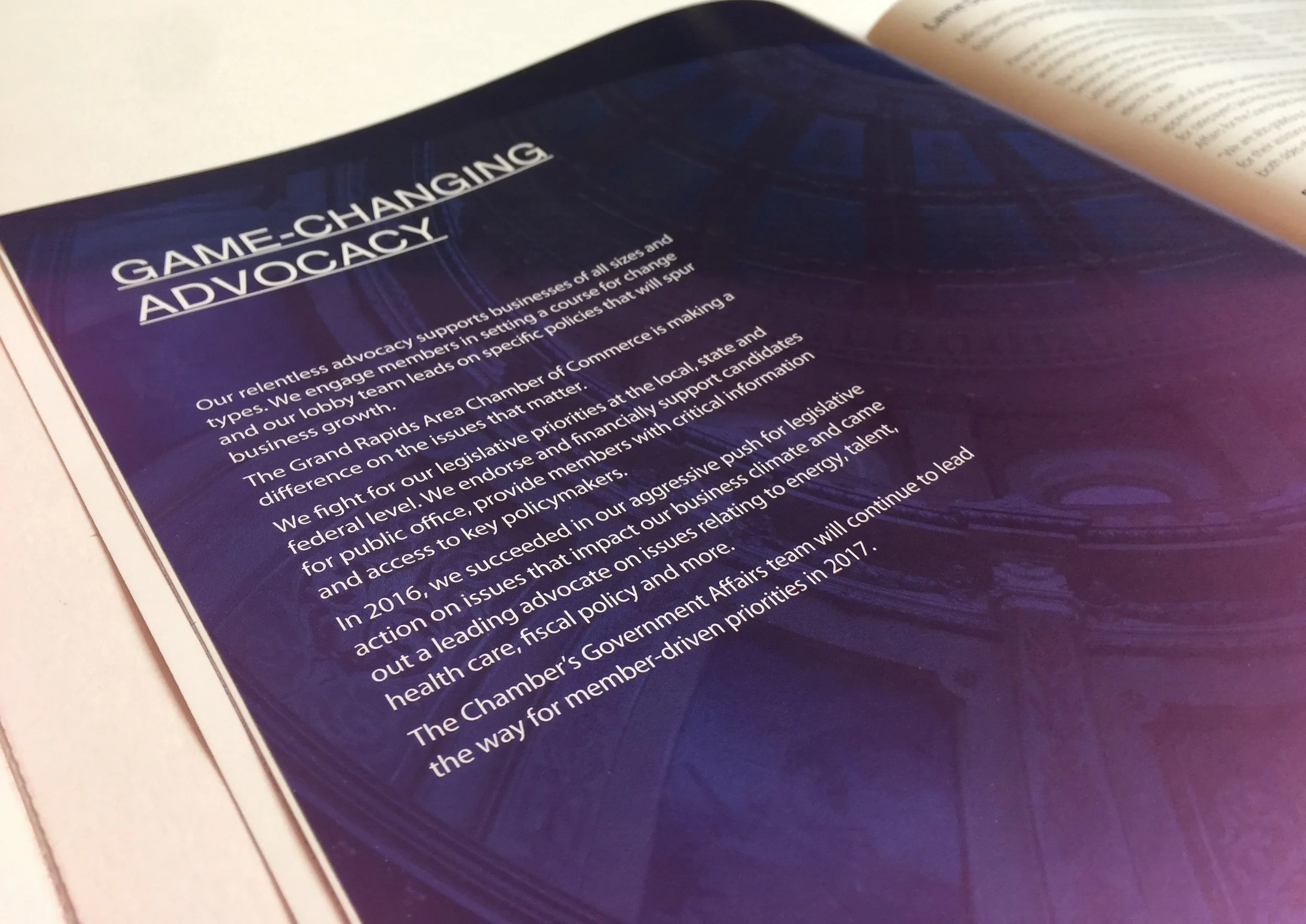 ANNUAL REPORT
