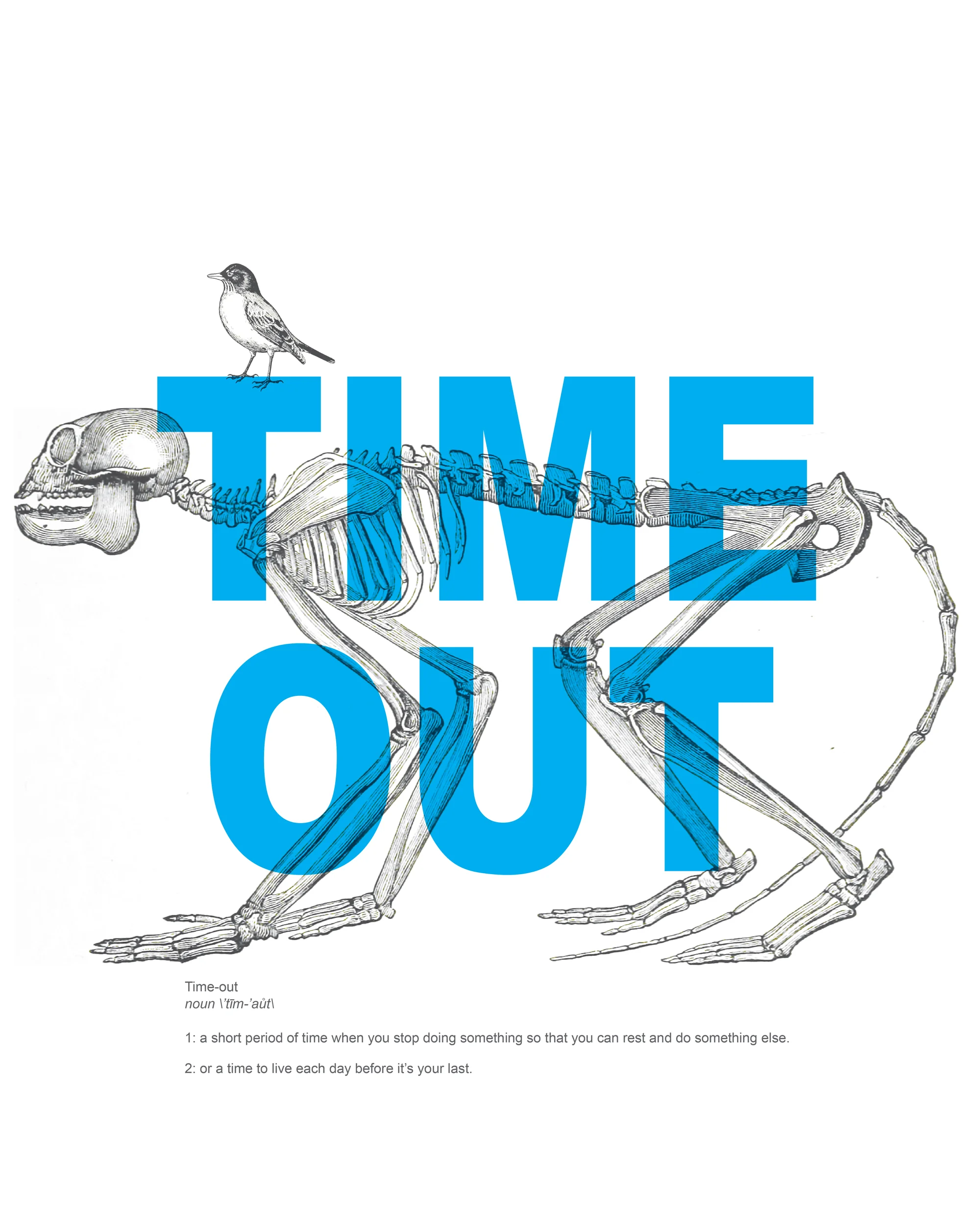 TIME-OUT-skeleton-and-bird2.jpg