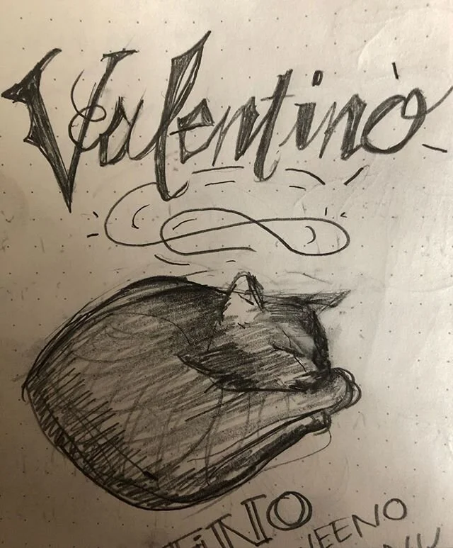 Also my little model friend @tino.weeno 💕💕 #sketch #doodle #catsofinstagram #cutie #lifedrawing