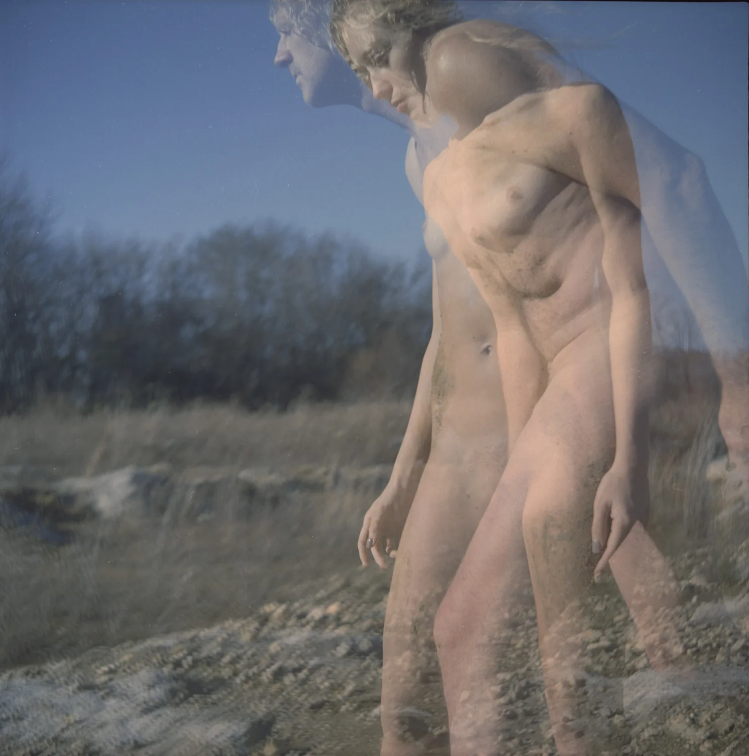 Creation-01.jpg