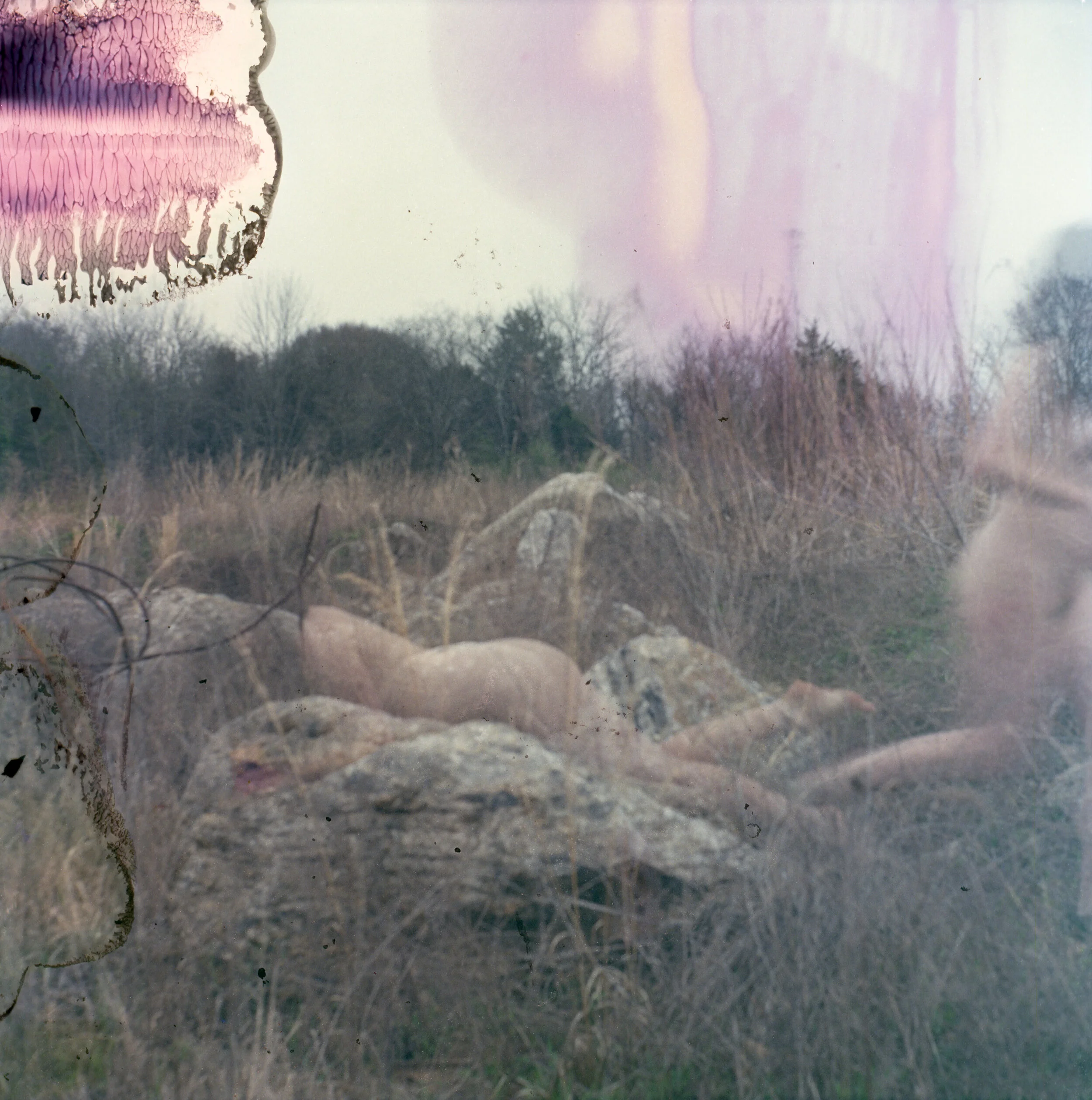 Marissa Adam-Eve009-Edit.jpg