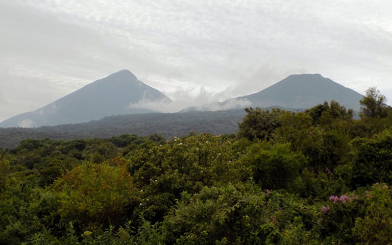 Mghahinga-national-park-5.jpg
