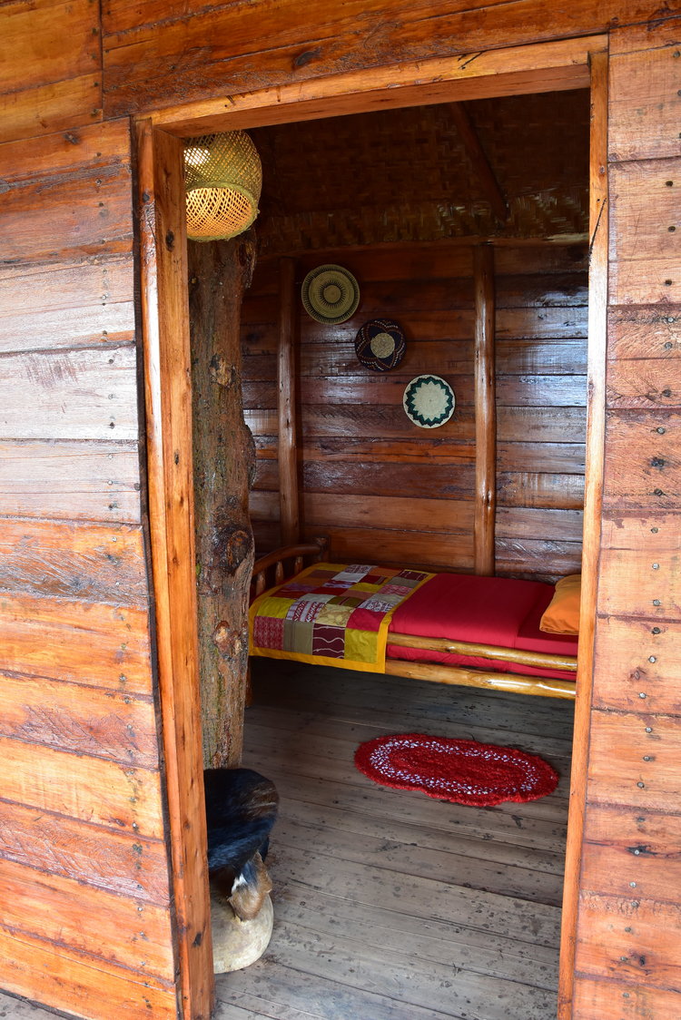 Tree nest bedroom