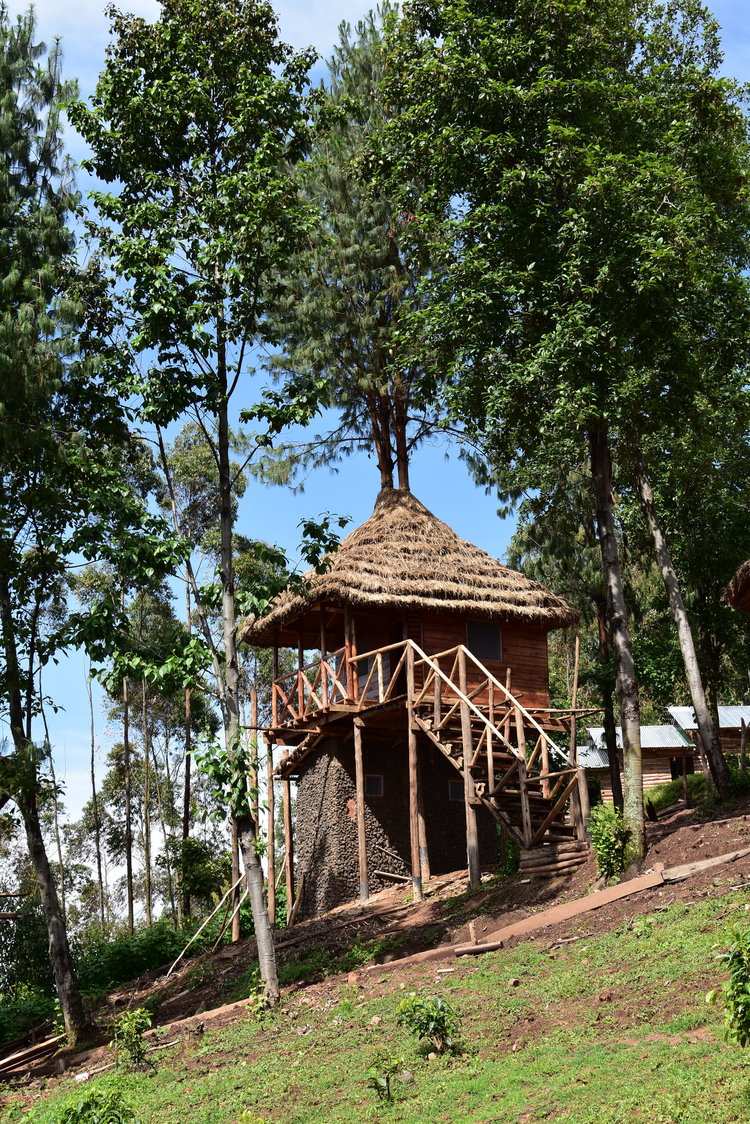 Tree nest