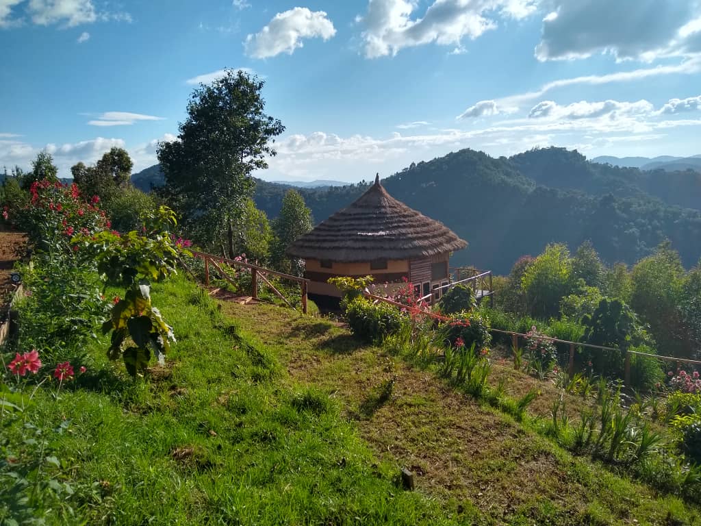 Ugandan landscape