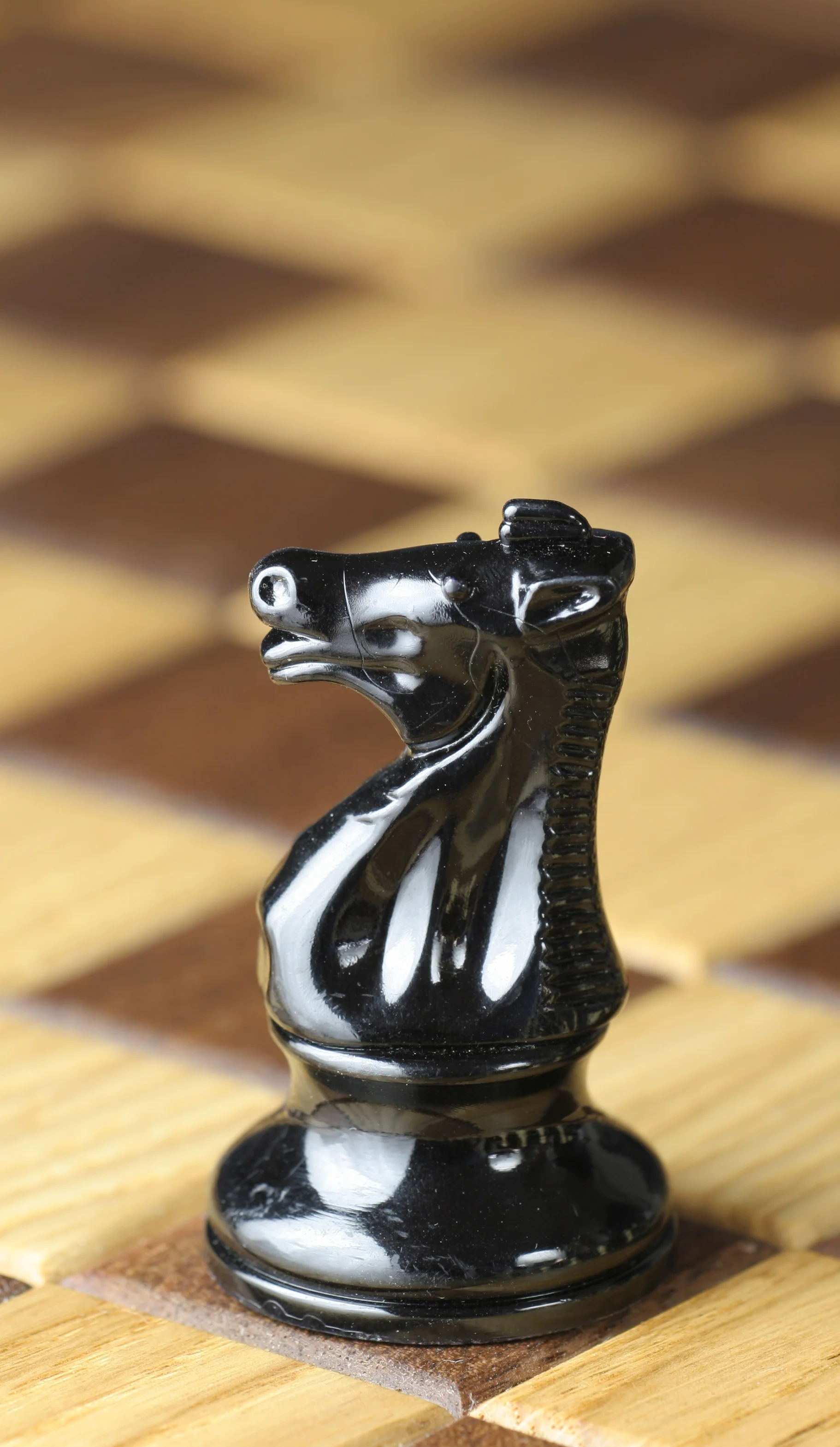 chess piece Knight.jpg
